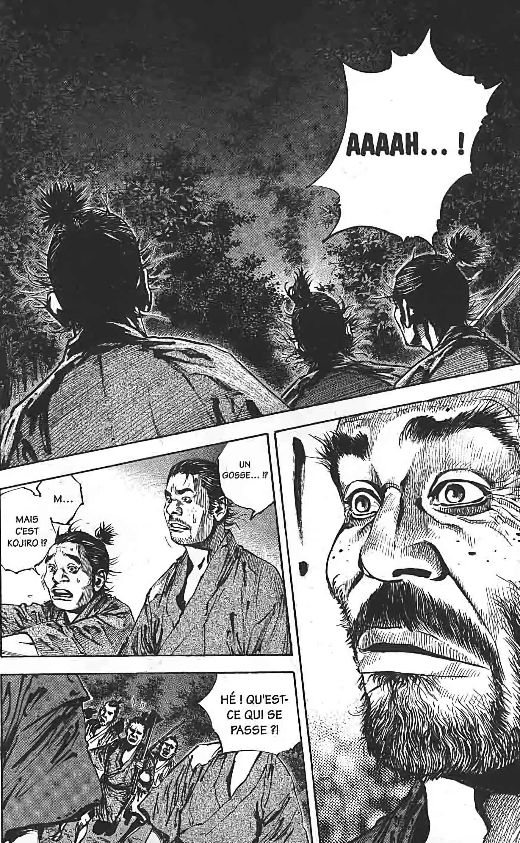 Read Vagabond FR Manga Online