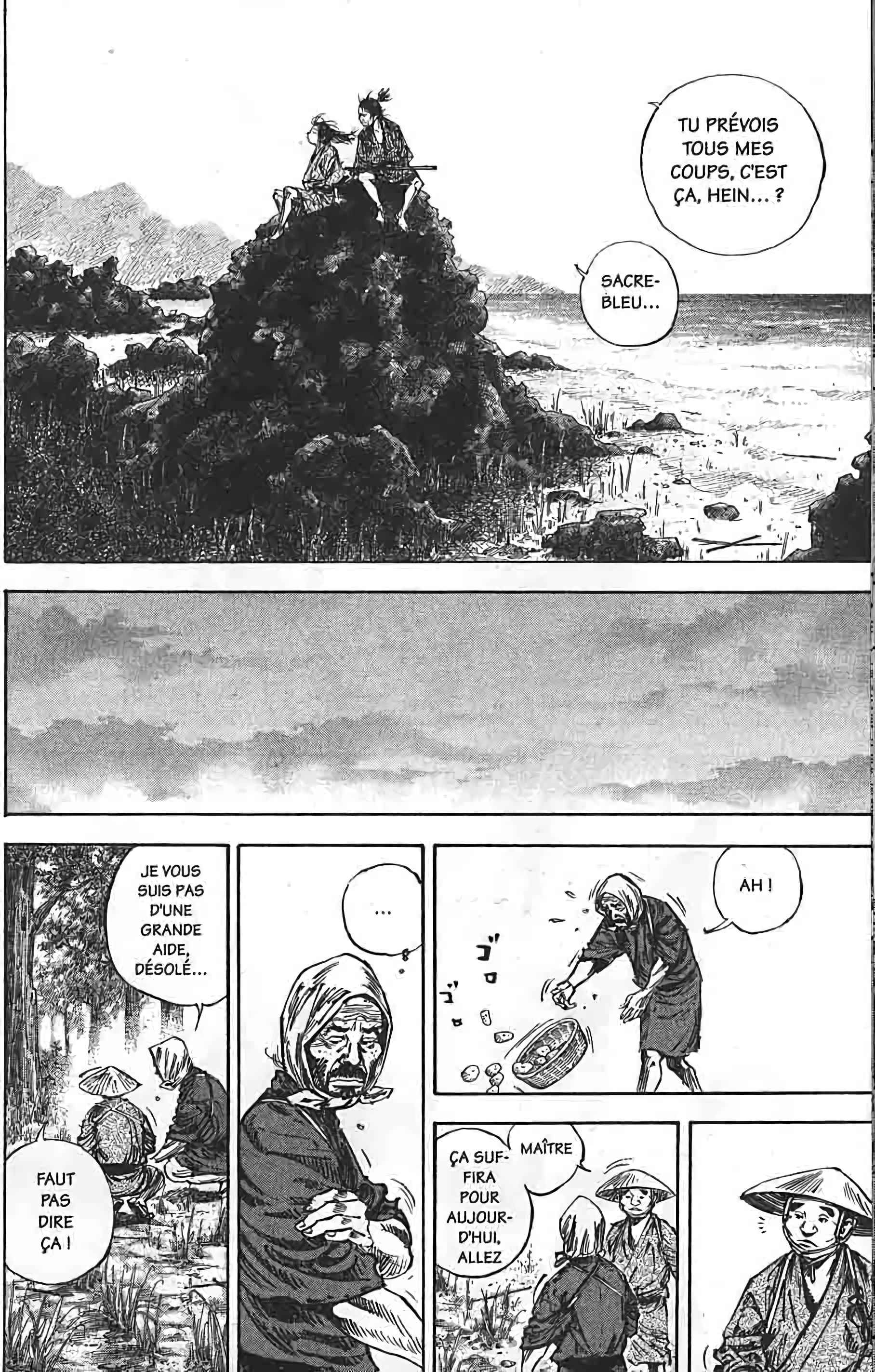 Read Vagabond FR Manga Online