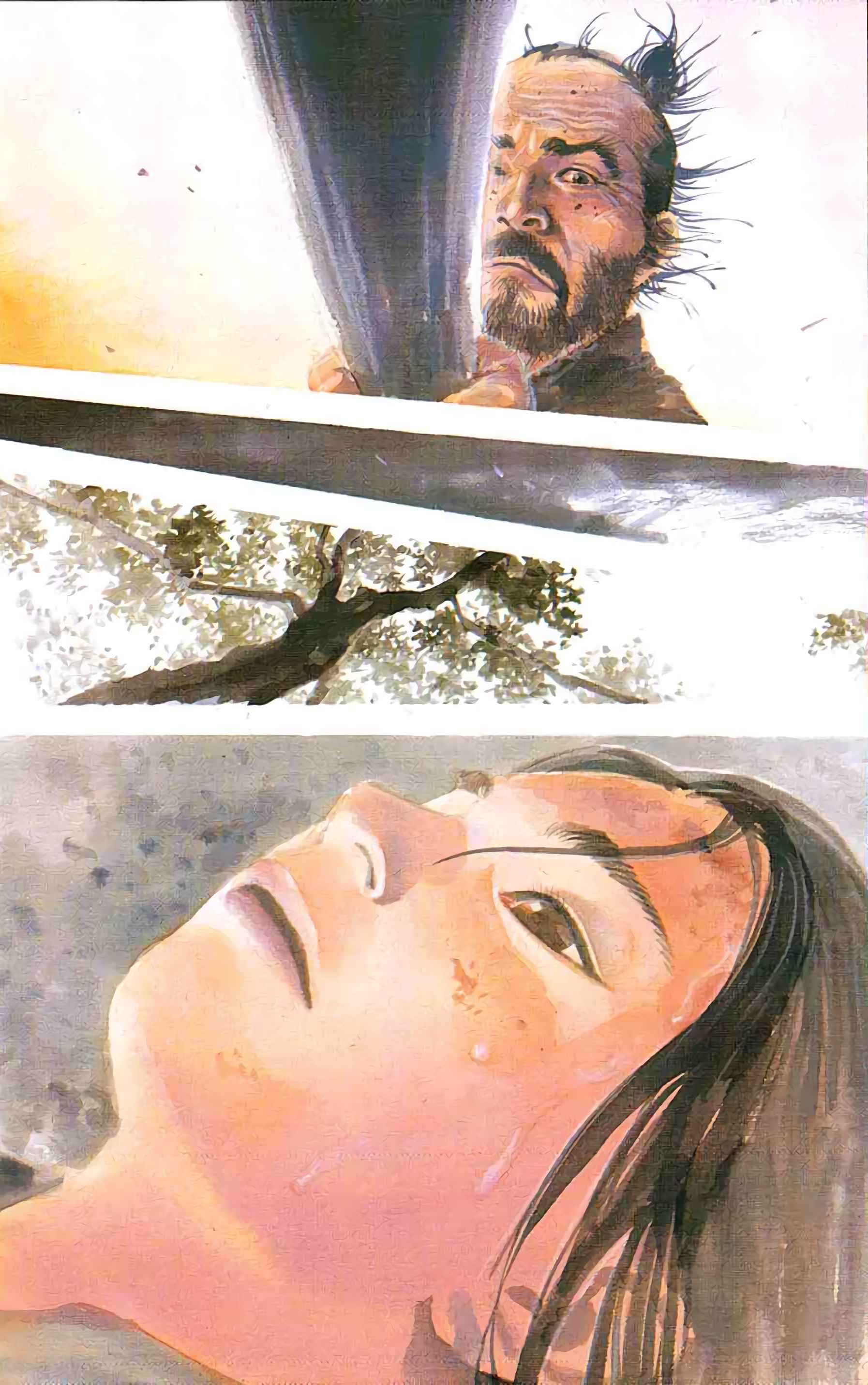 Read Vagabond FR Manga Online