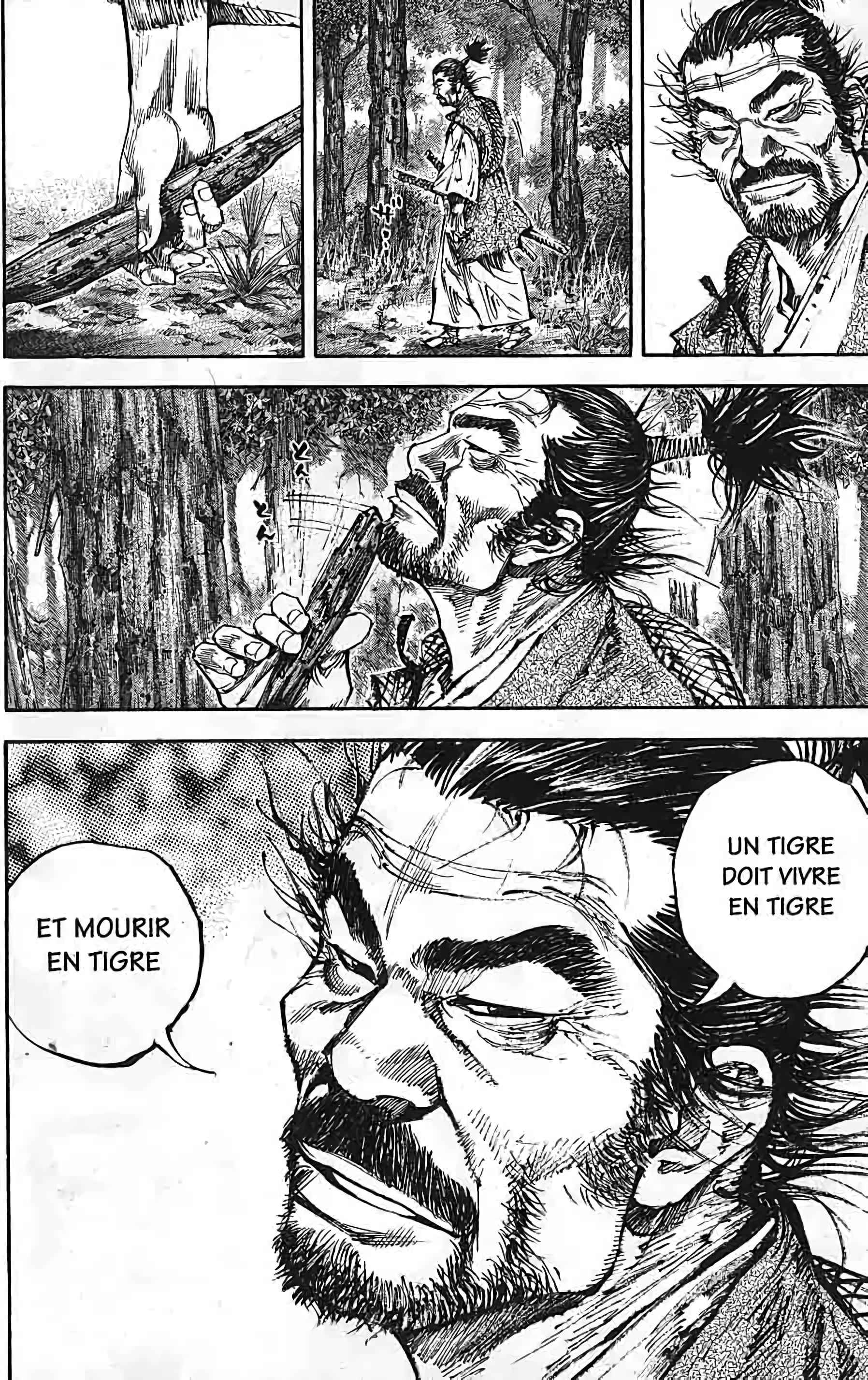 Read Vagabond FR Manga Online