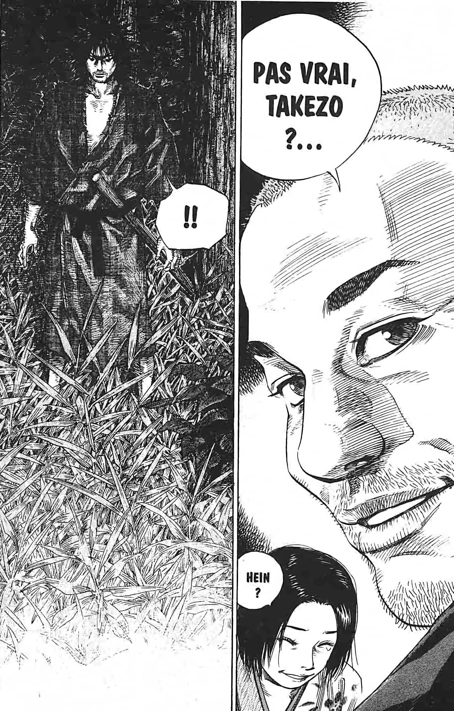 Read Vagabond FR Manga Online