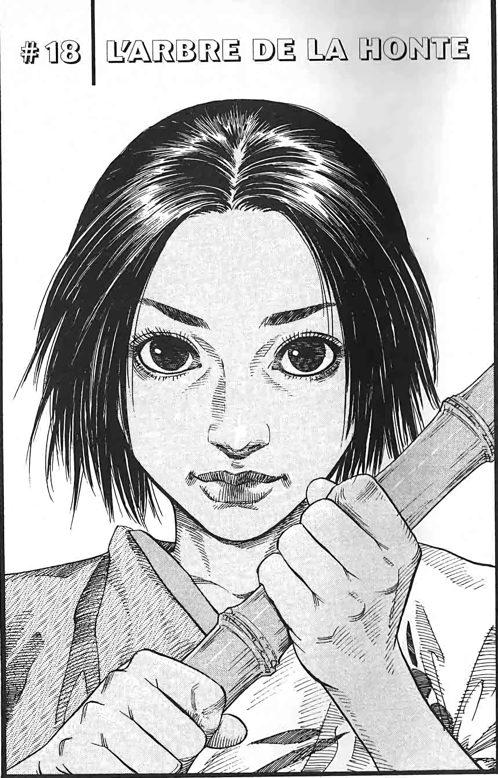Read Vagabond FR Manga Online
