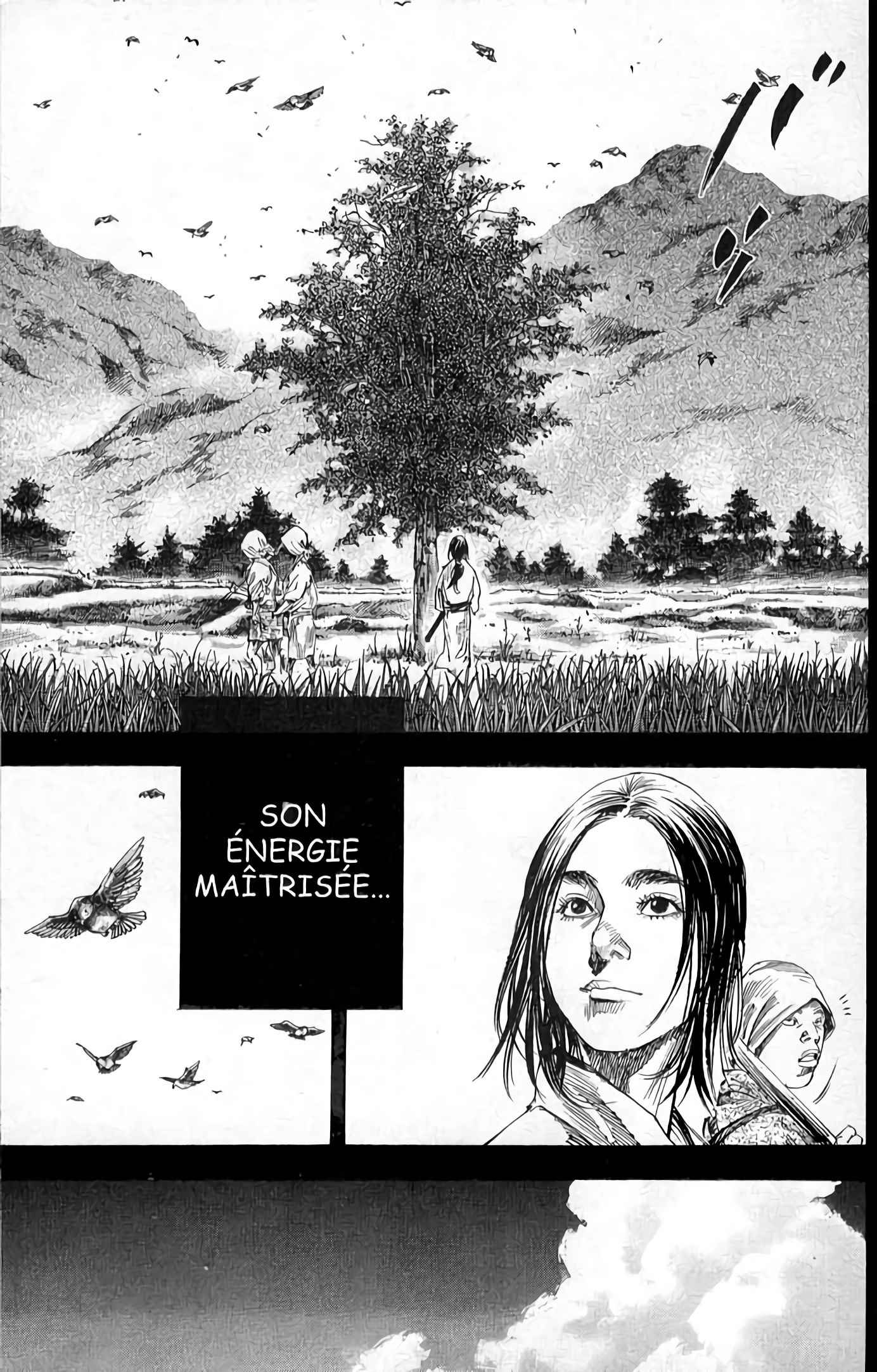 Read Vagabond FR Manga Online