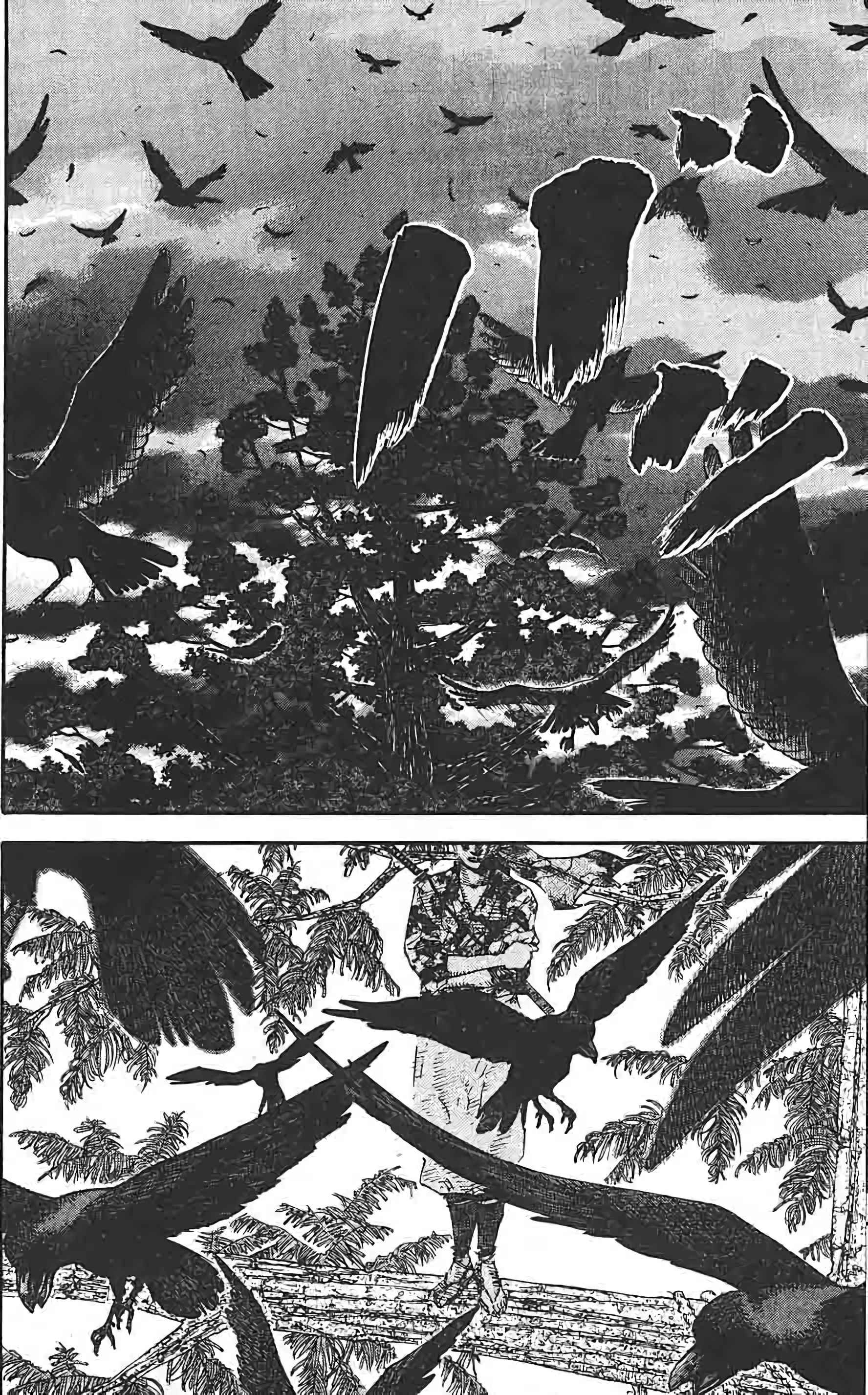 Read Vagabond FR Manga Online