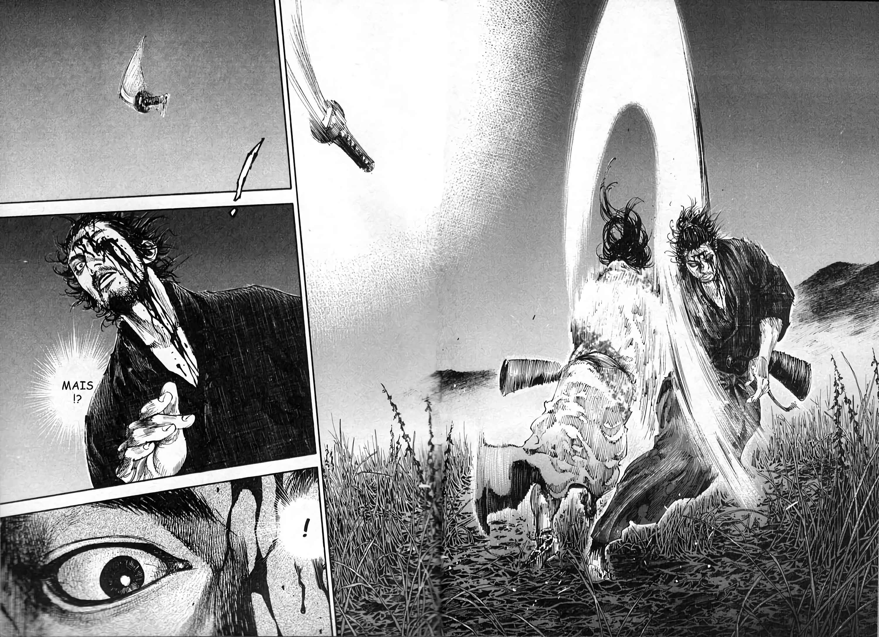 Read Vagabond FR Manga Online