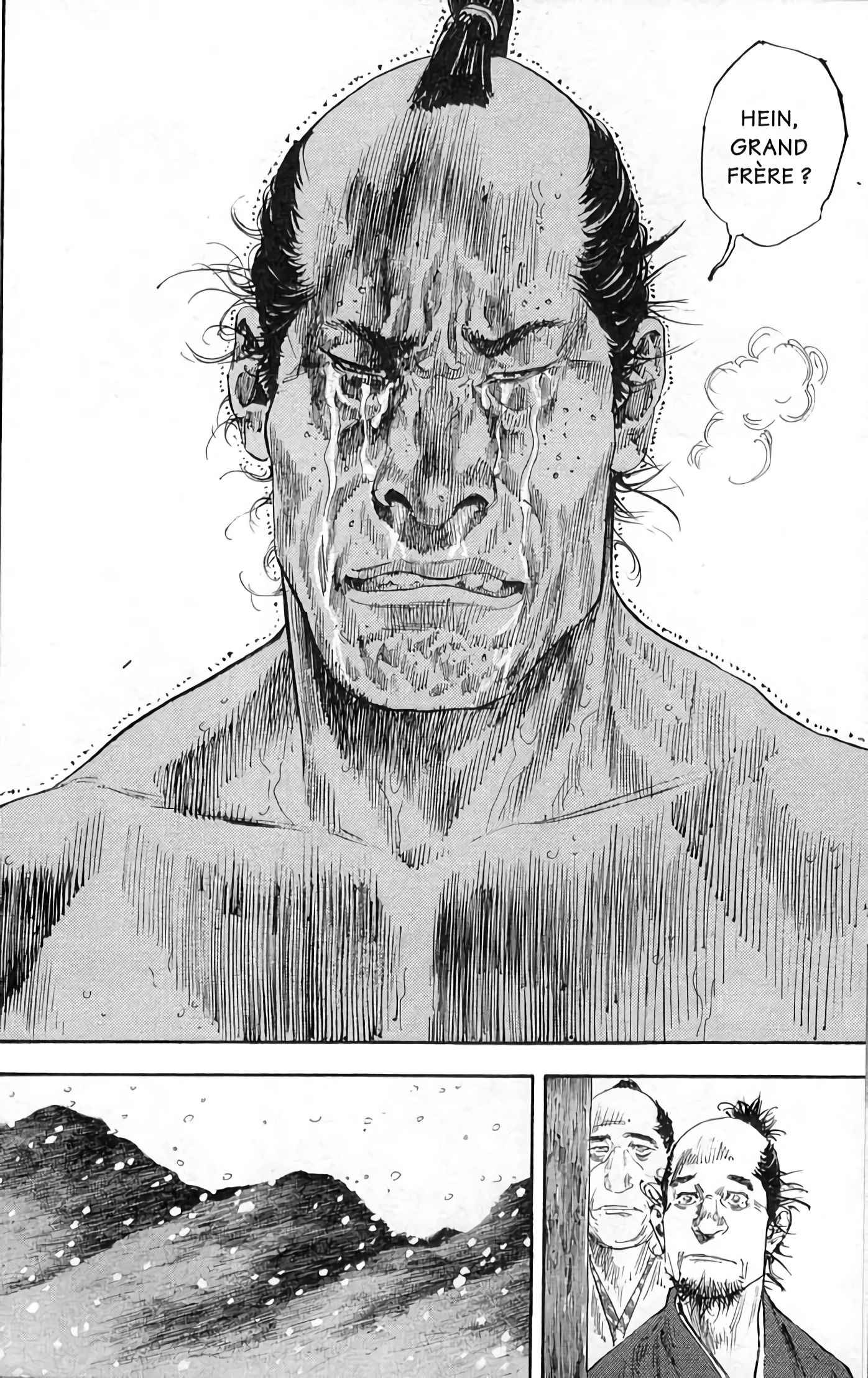 Read Vagabond FR Manga Online