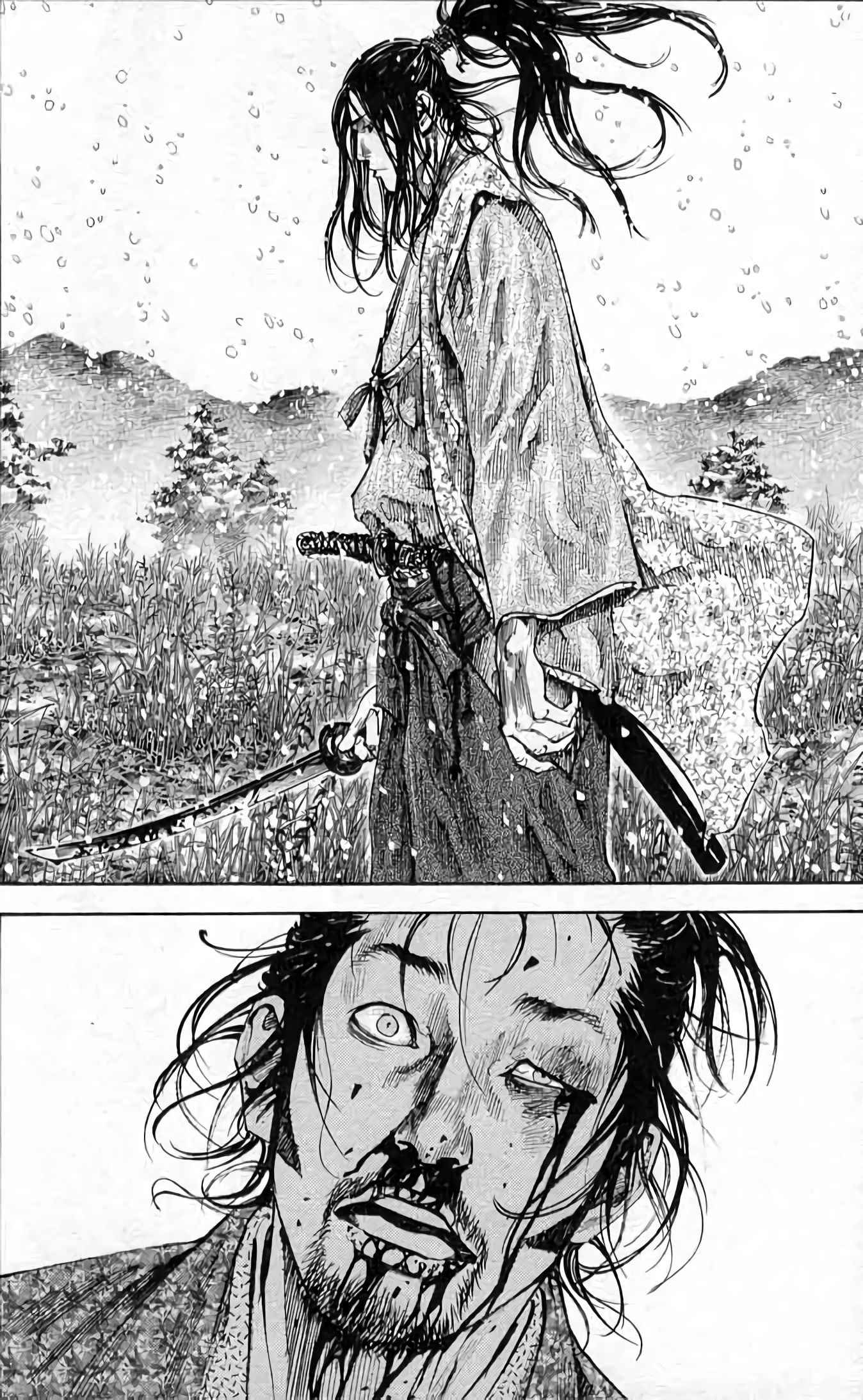 Read Vagabond FR Manga Online