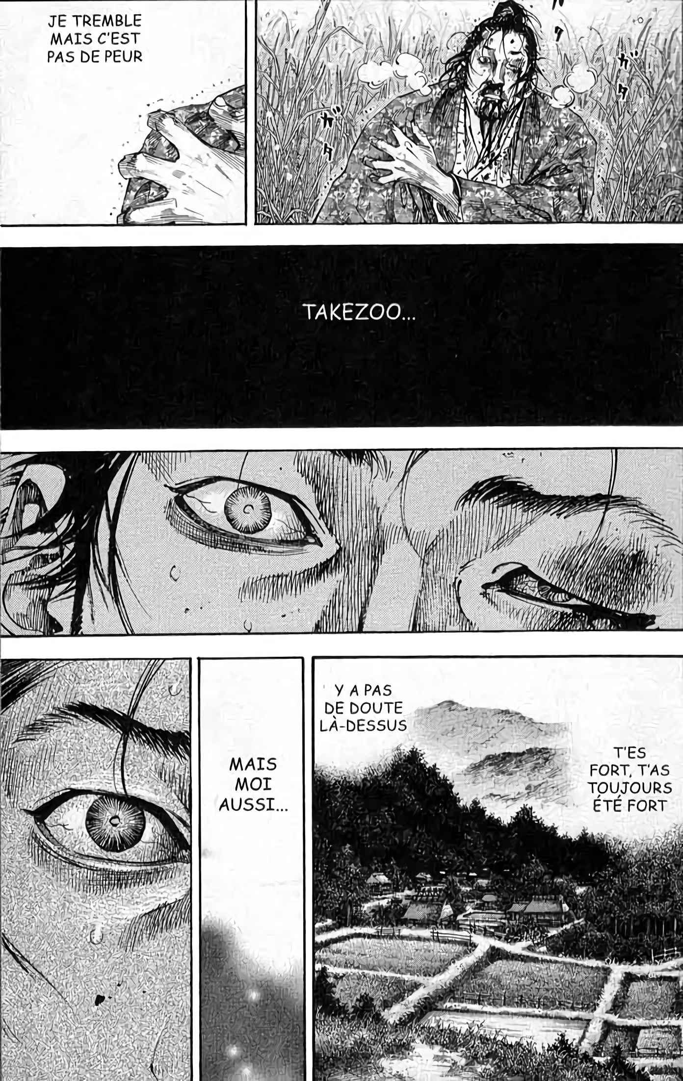 Read Vagabond FR Manga Online