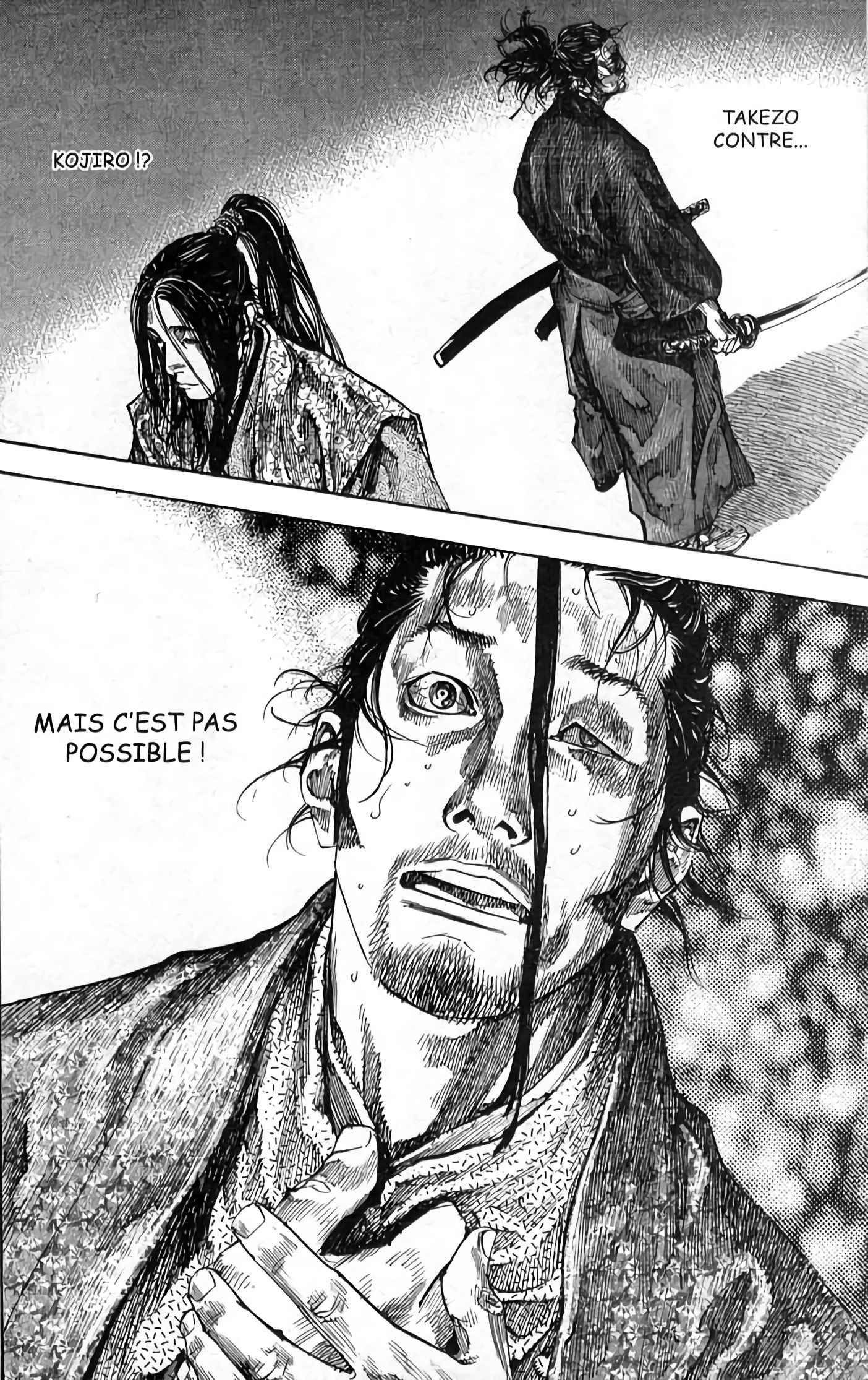 Read Vagabond FR Manga Online
