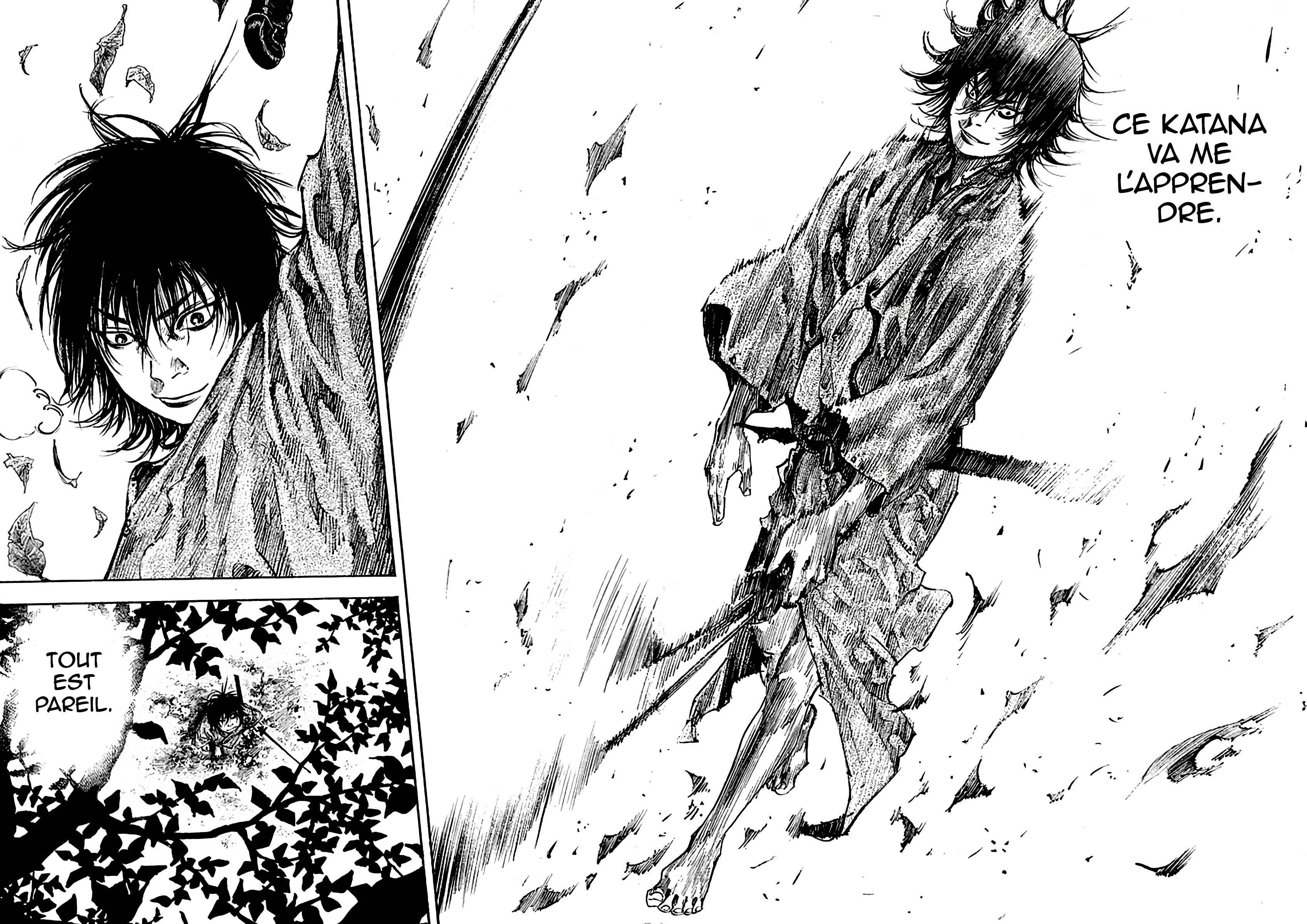 Read Vagabond FR Manga Online