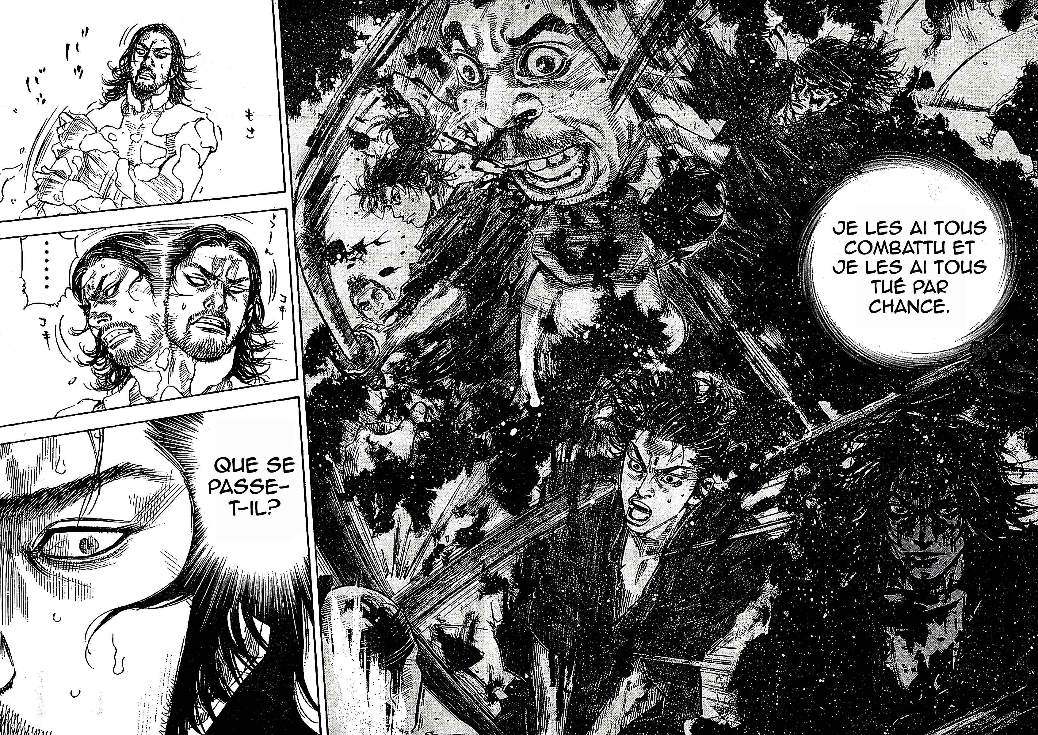 Read Vagabond FR Manga Online