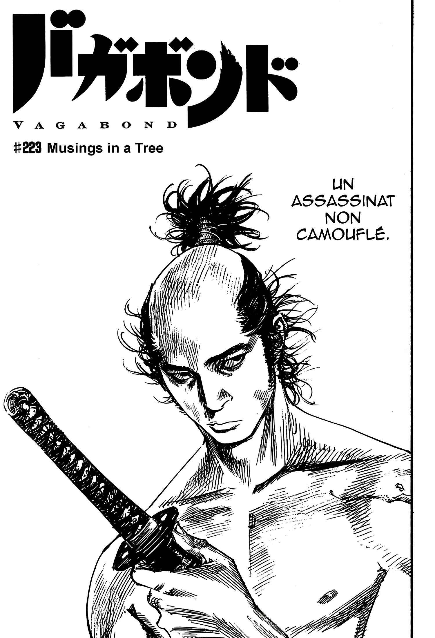 Read Vagabond FR Manga Online