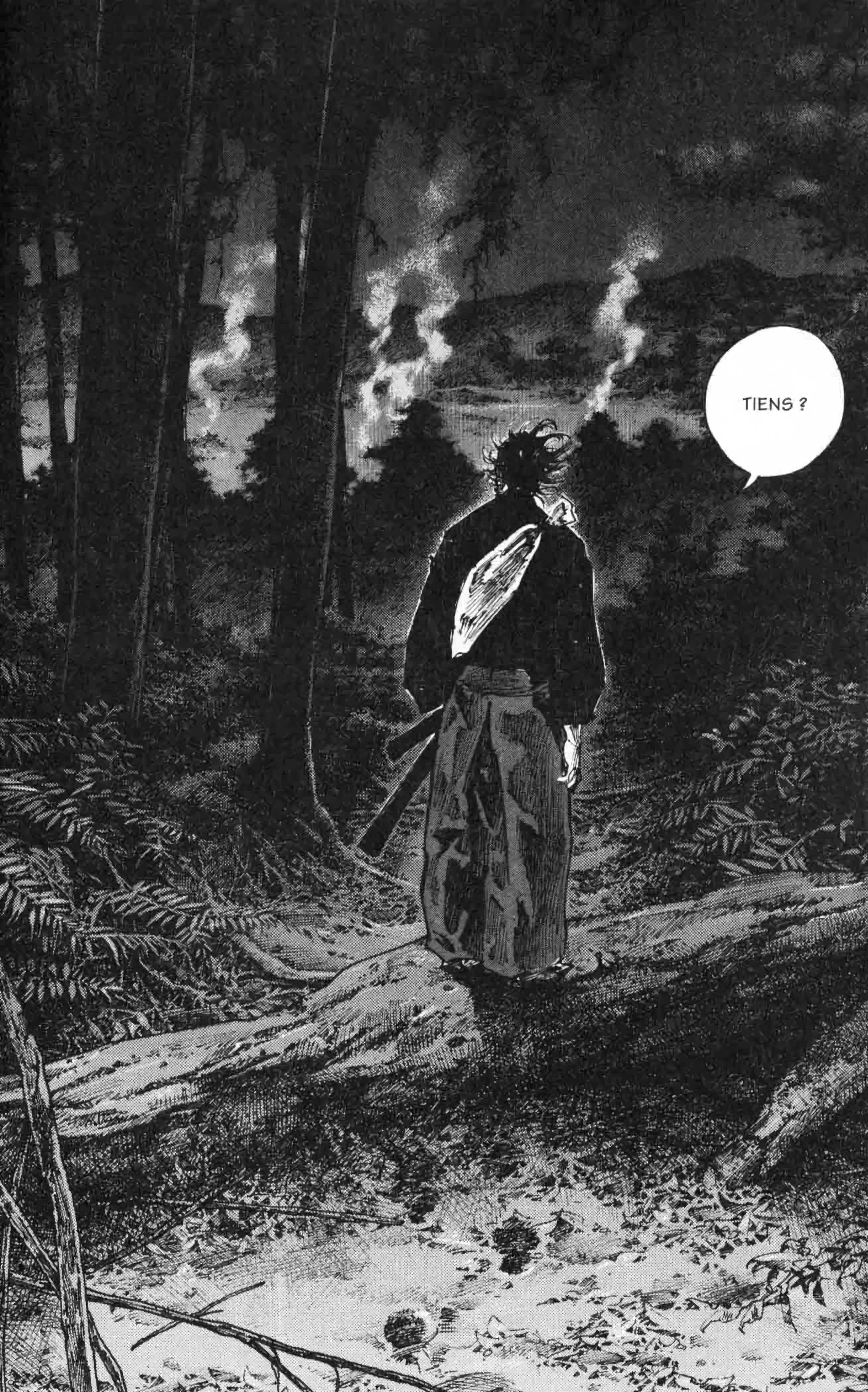 Read Vagabond FR Manga Online