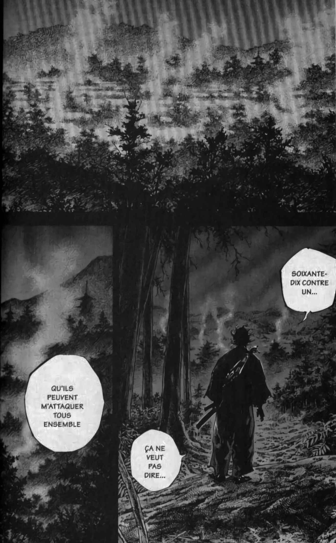 Read Vagabond FR Manga Online