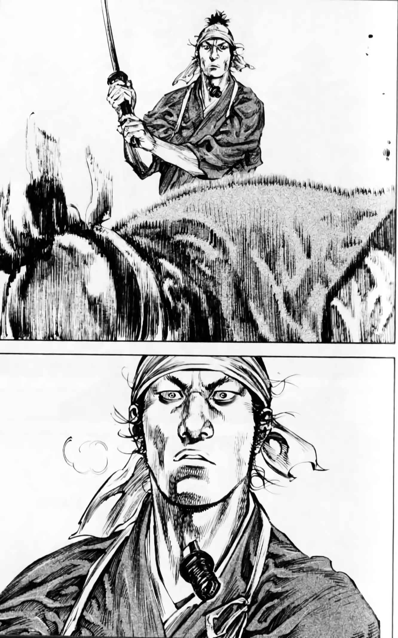 Read Vagabond FR Manga Online