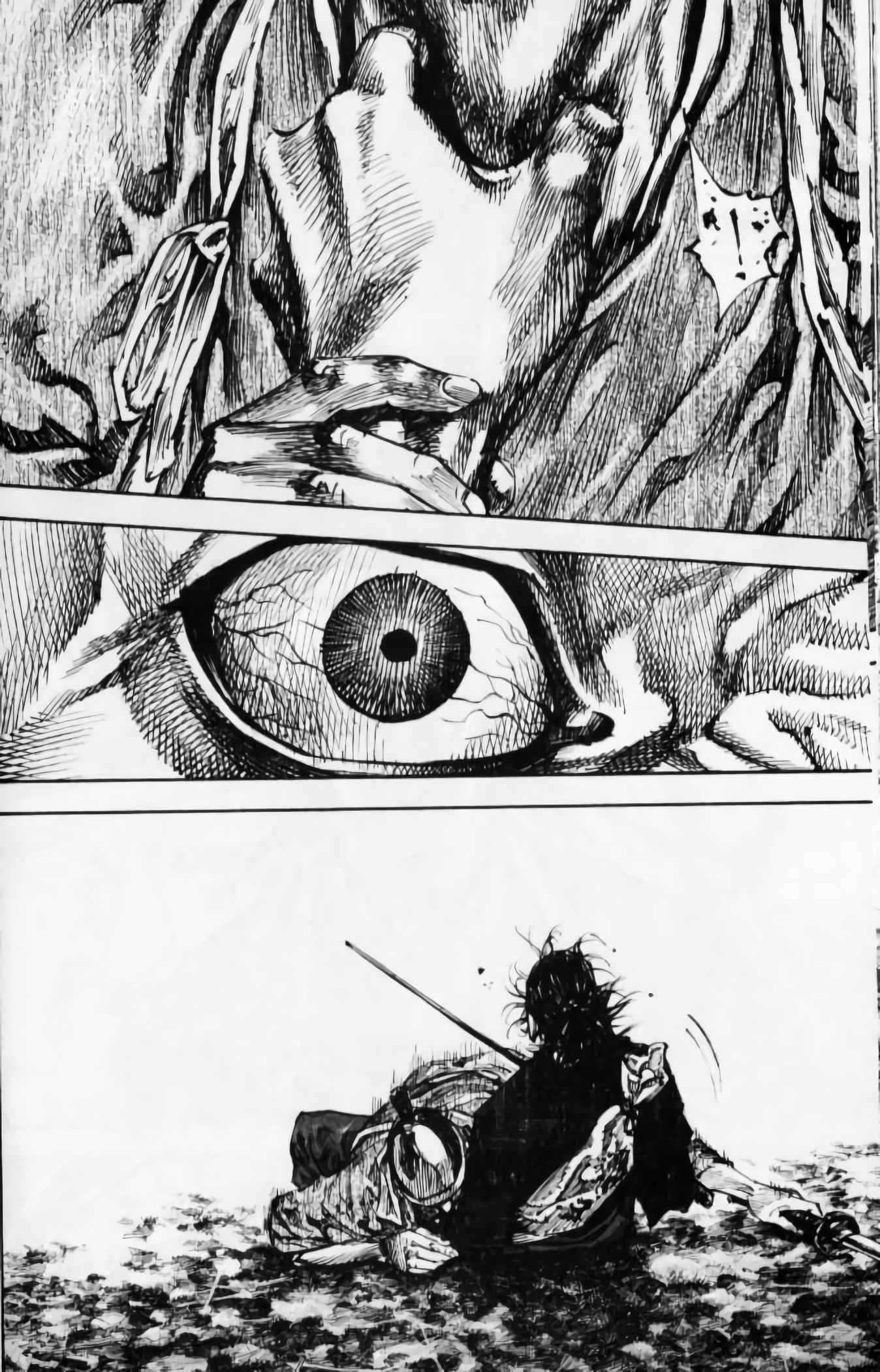 Read Vagabond FR Manga Online