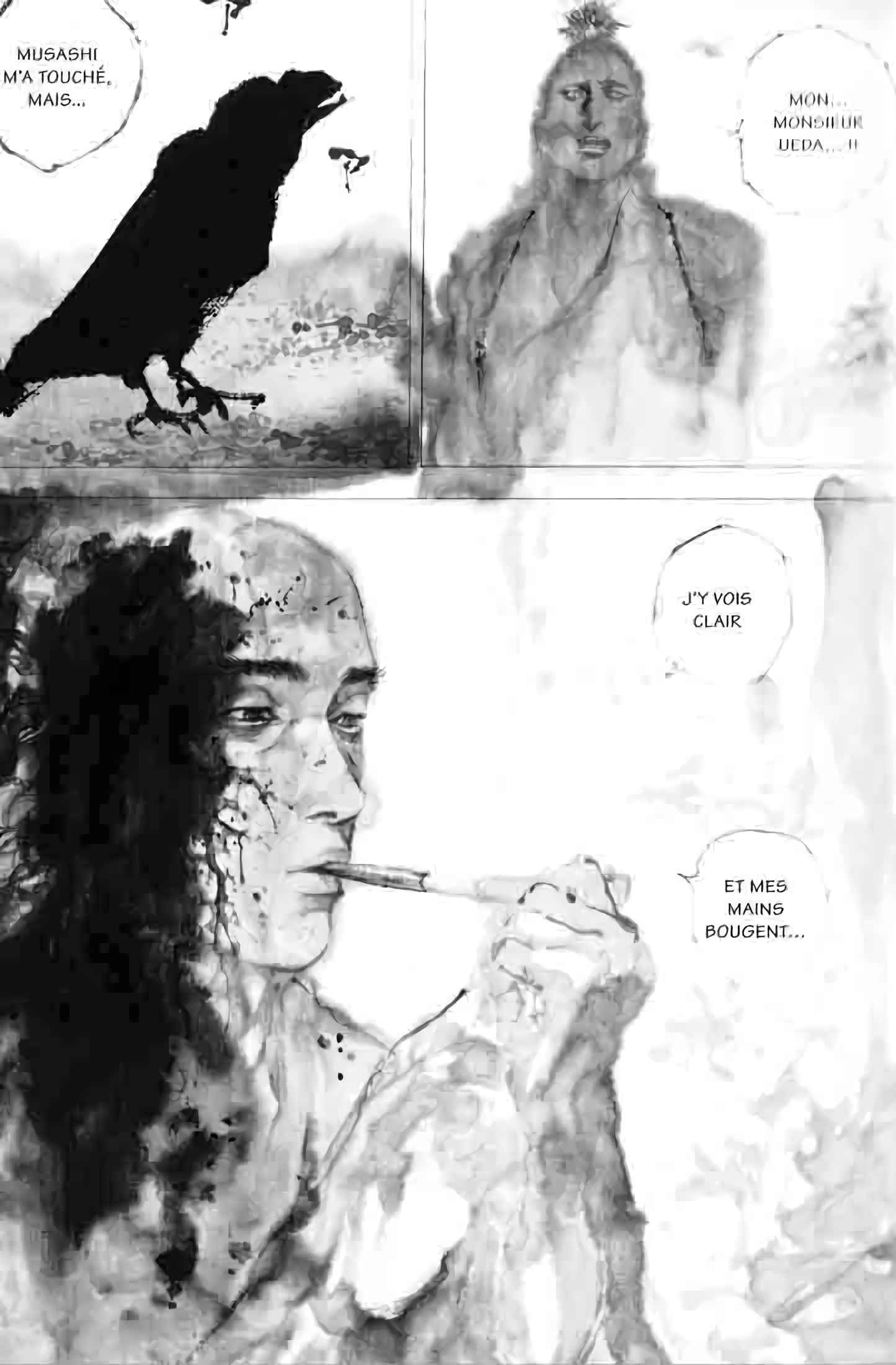 Read Vagabond FR Manga Online