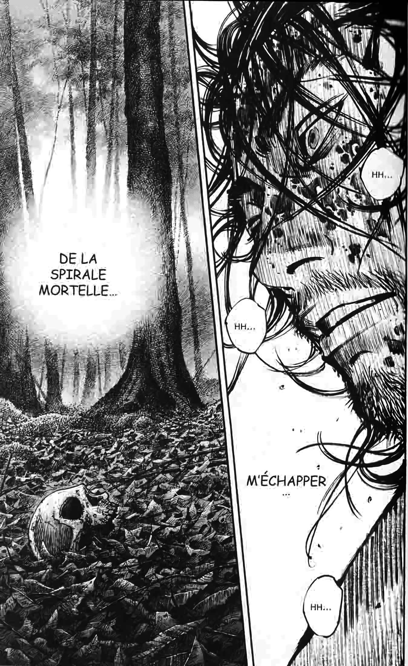 Read Vagabond FR Manga Online