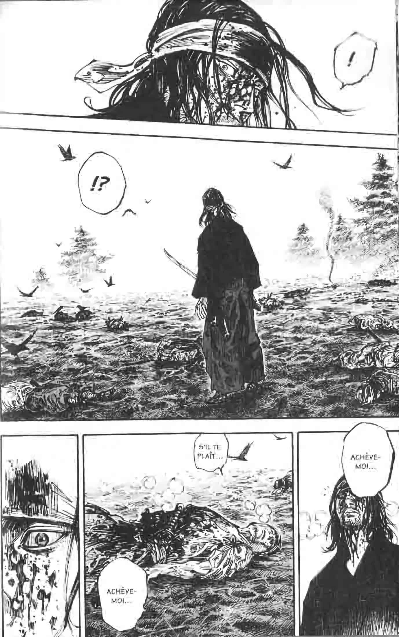 Read Vagabond FR Manga Online