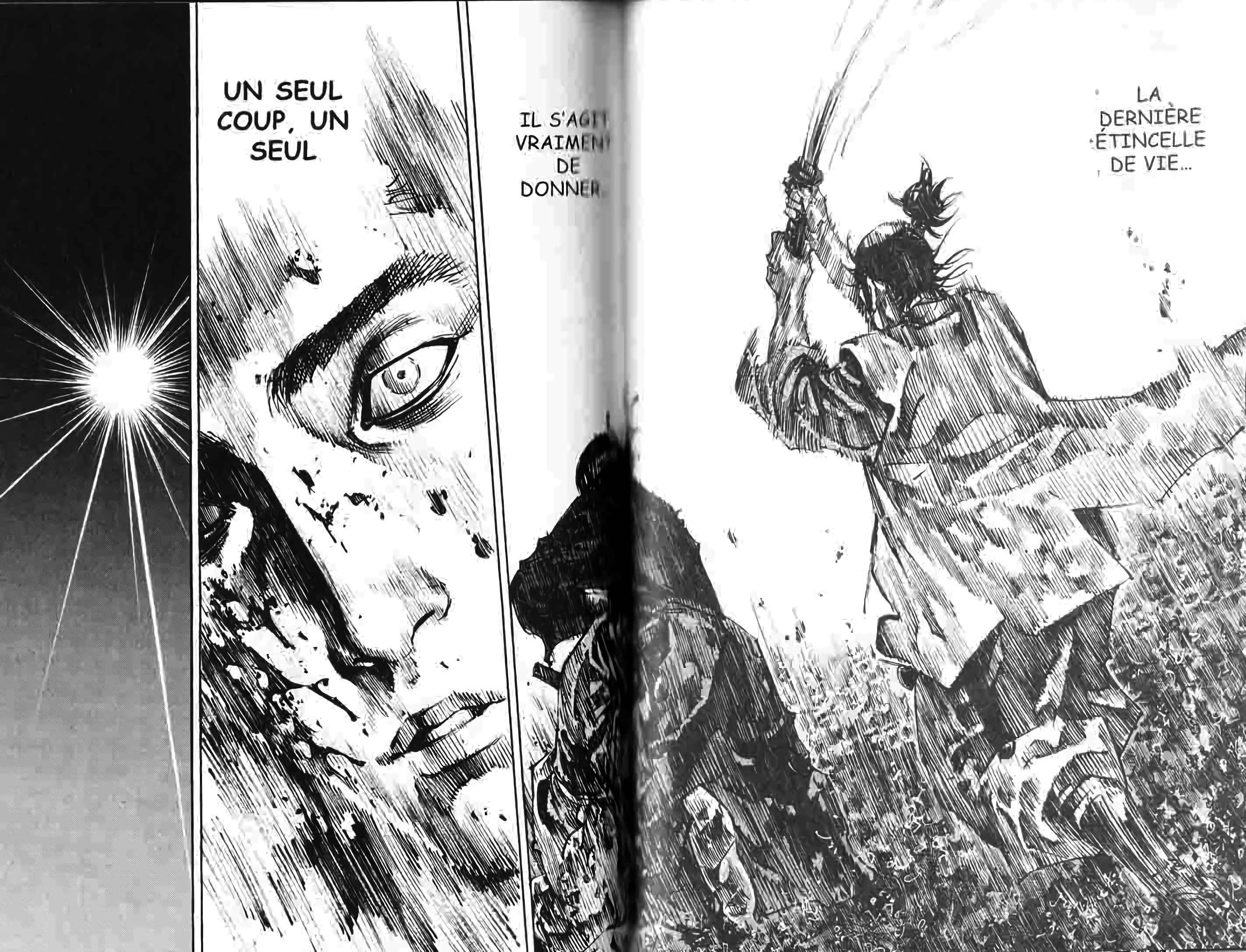 Read Vagabond FR Manga Online
