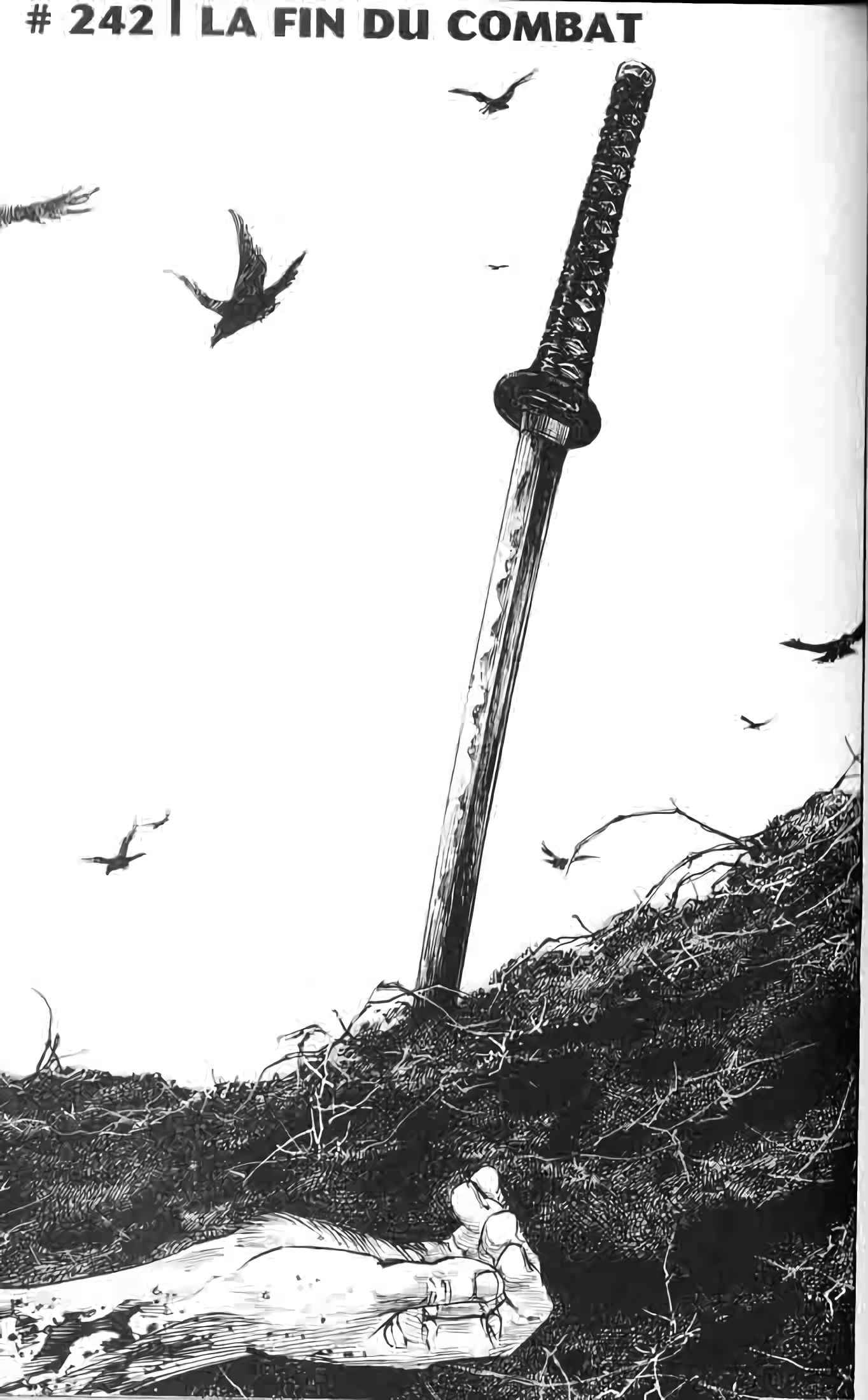 Read Vagabond FR Manga Online