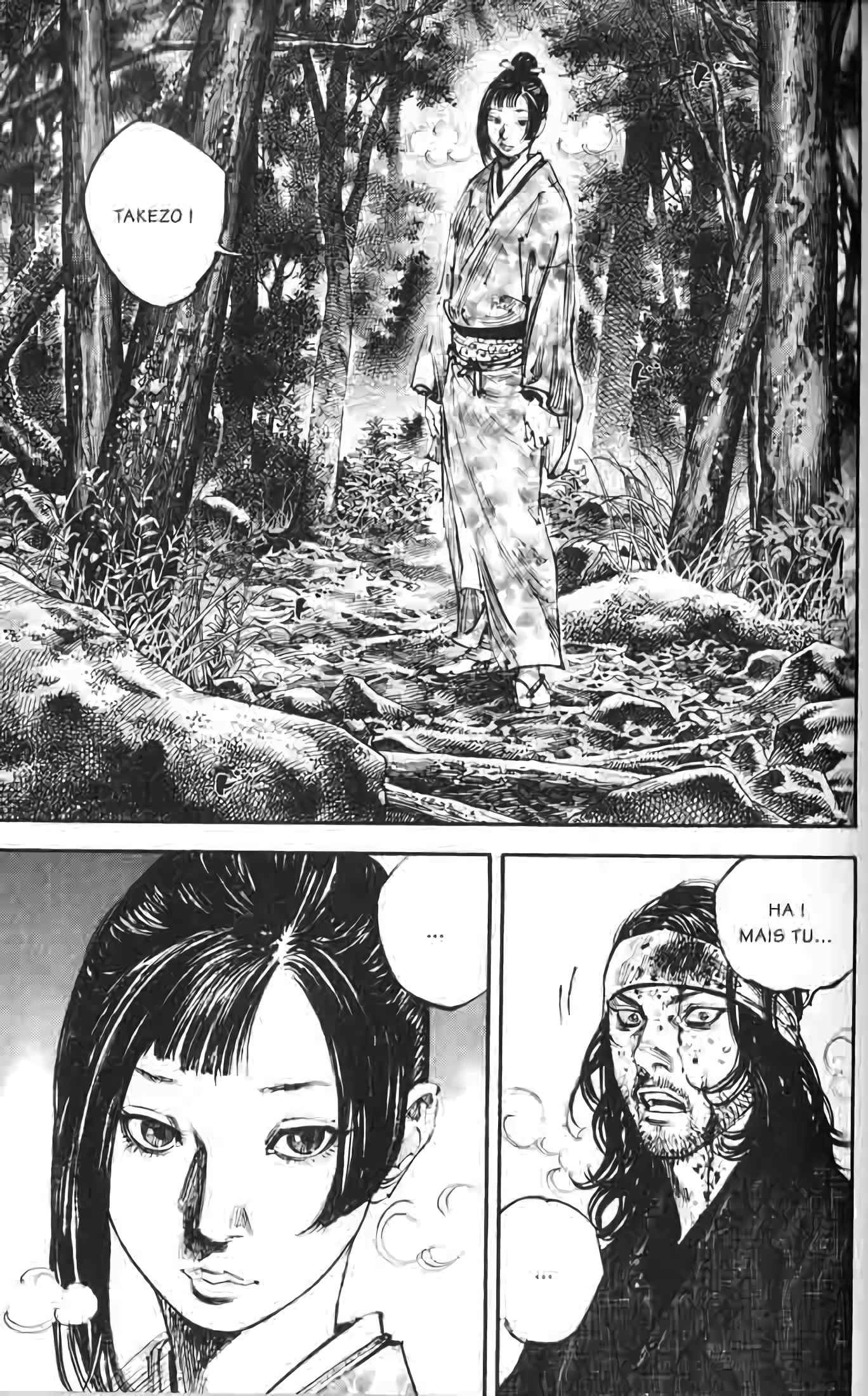 Read Vagabond FR Manga Online