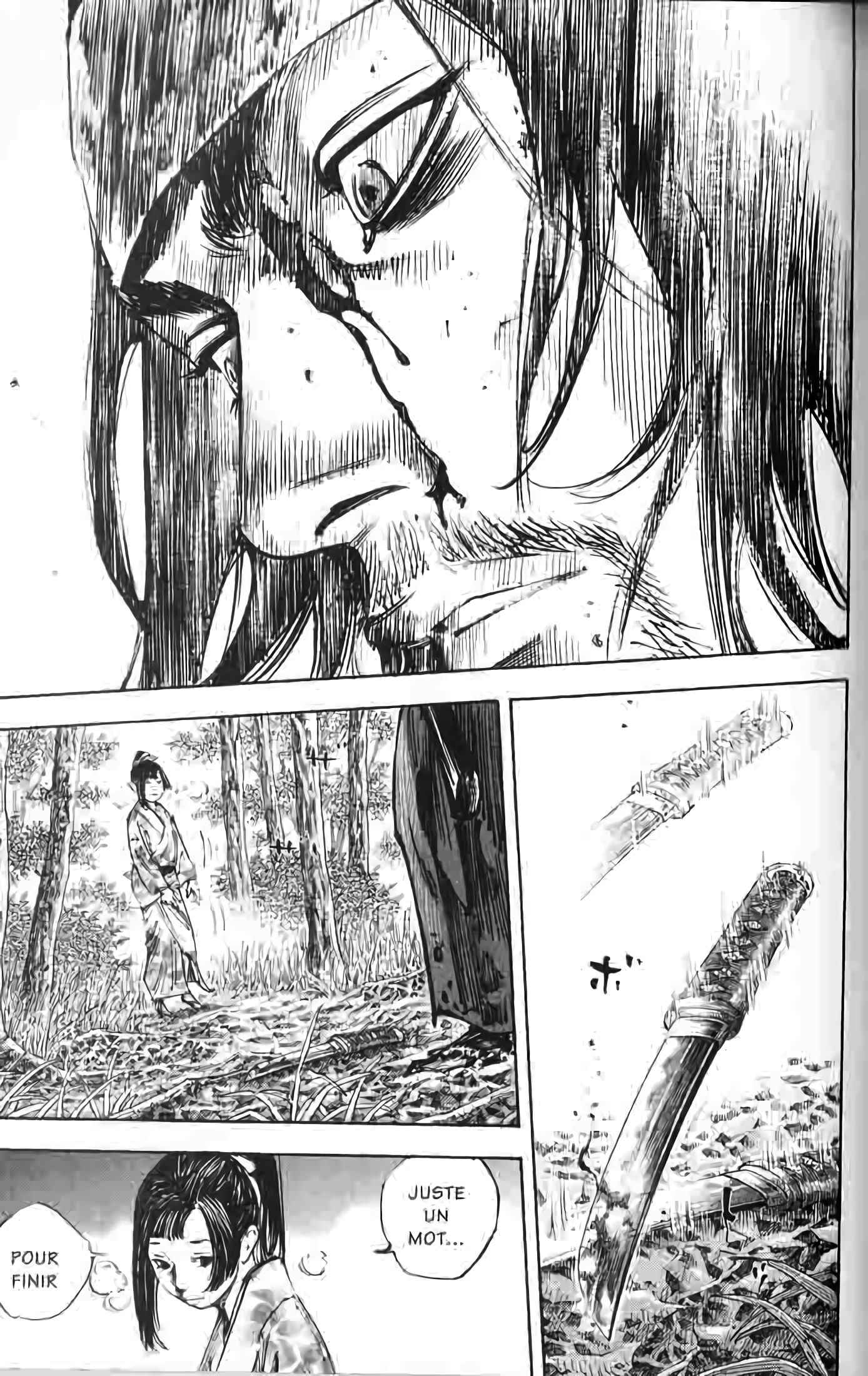 Read Vagabond FR Manga Online