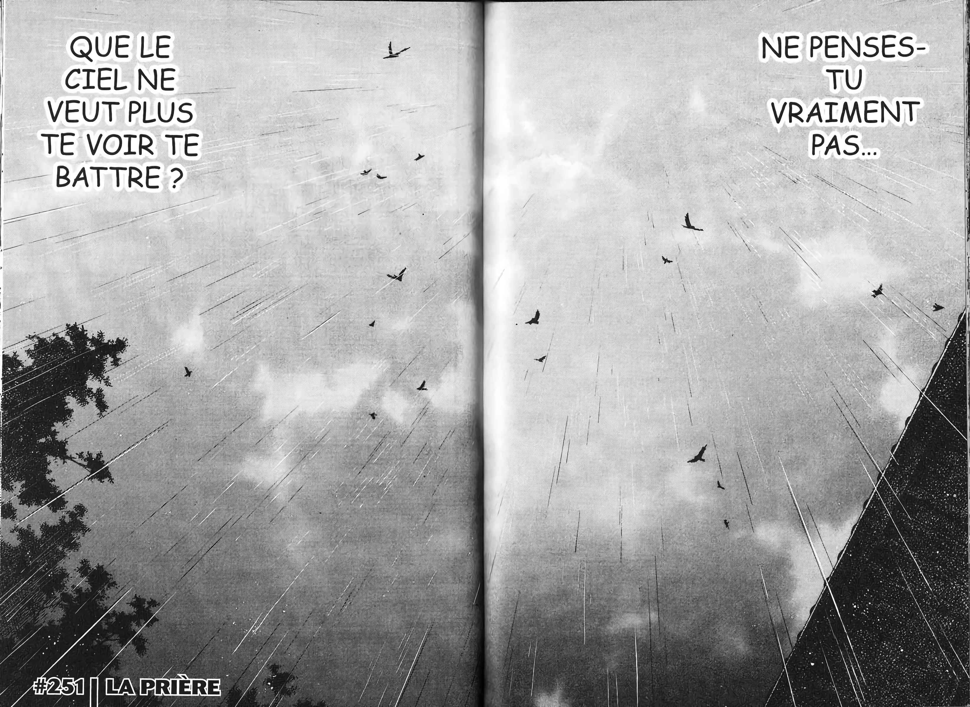 Read Vagabond FR Manga Online