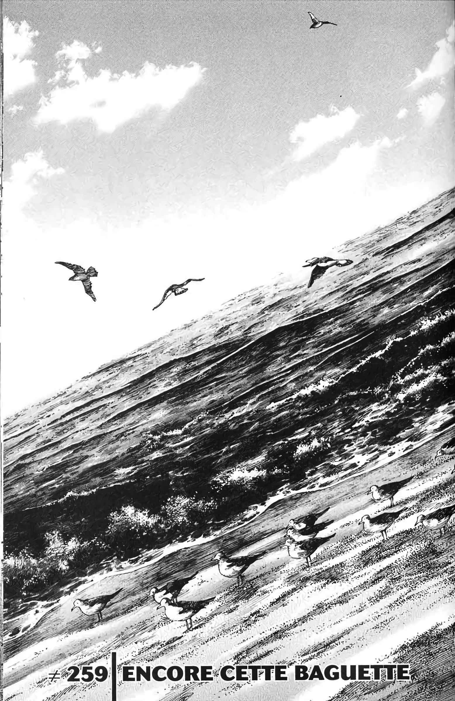 Read Vagabond FR Manga Online