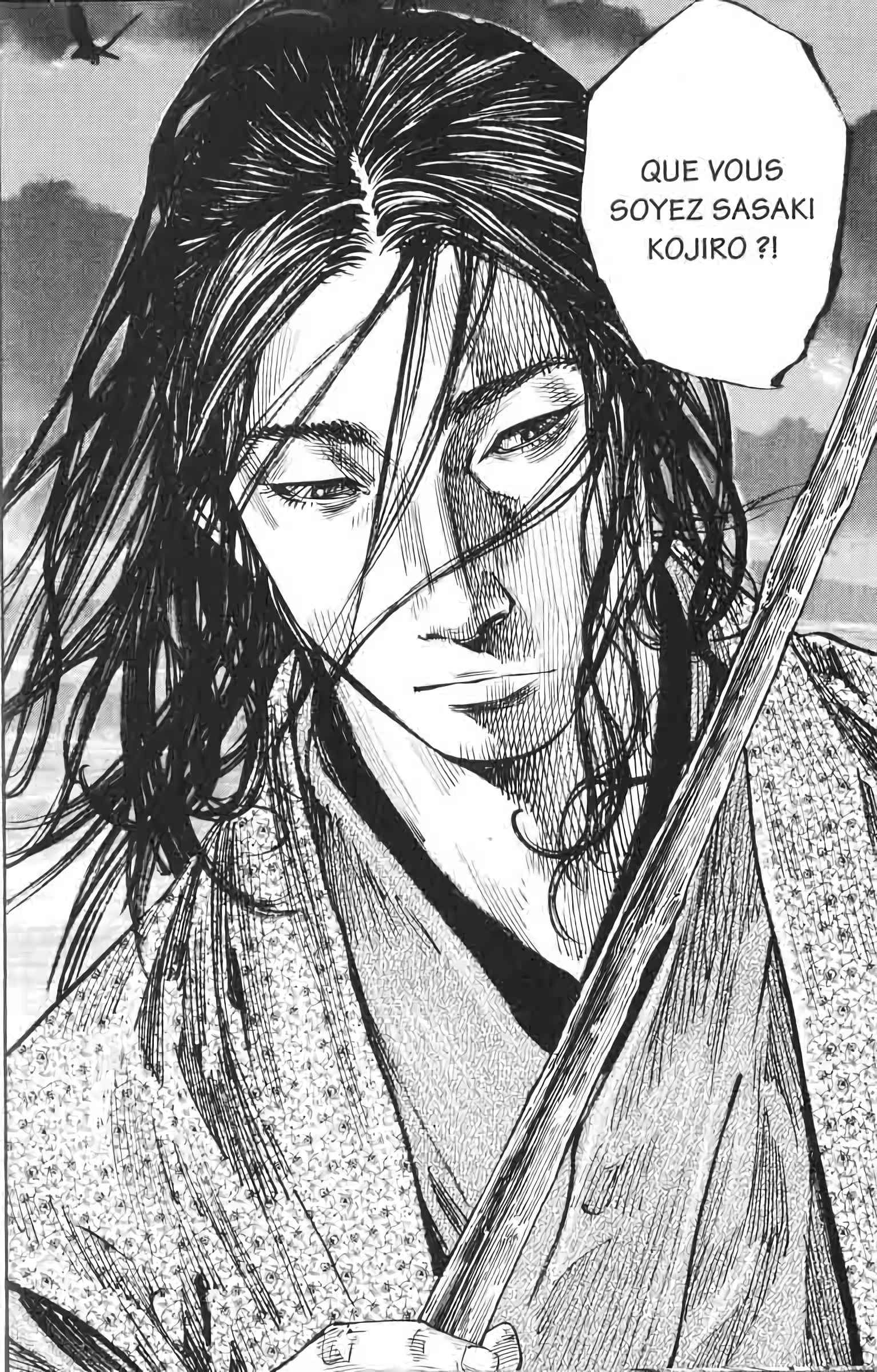 Read Vagabond FR Manga Online