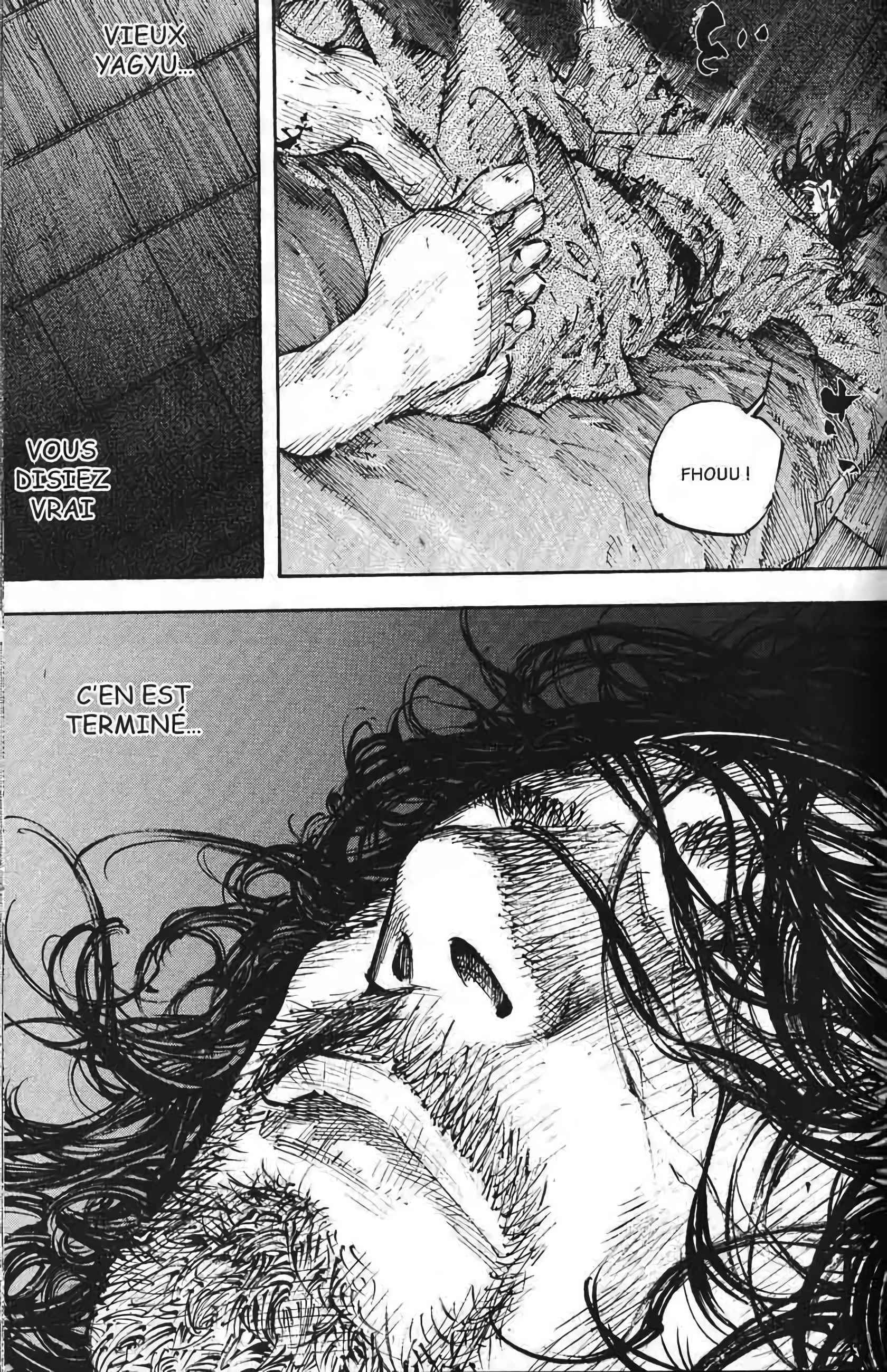 Read Vagabond FR Manga Online