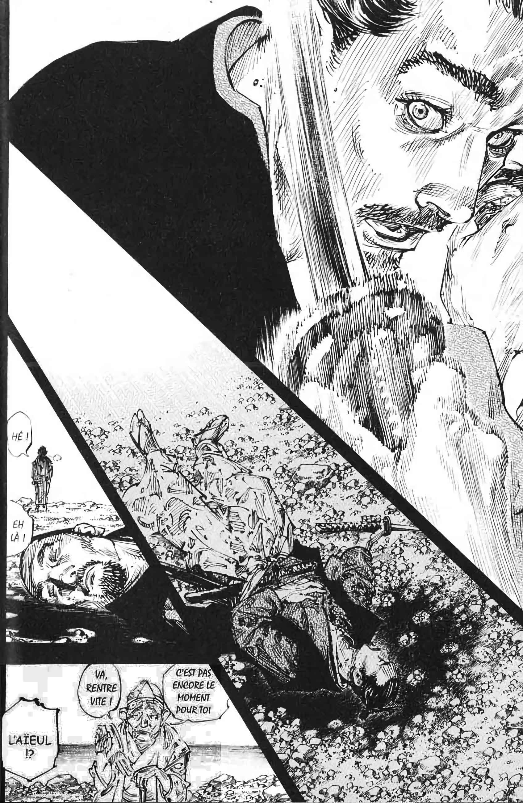 Read Vagabond FR Manga Online