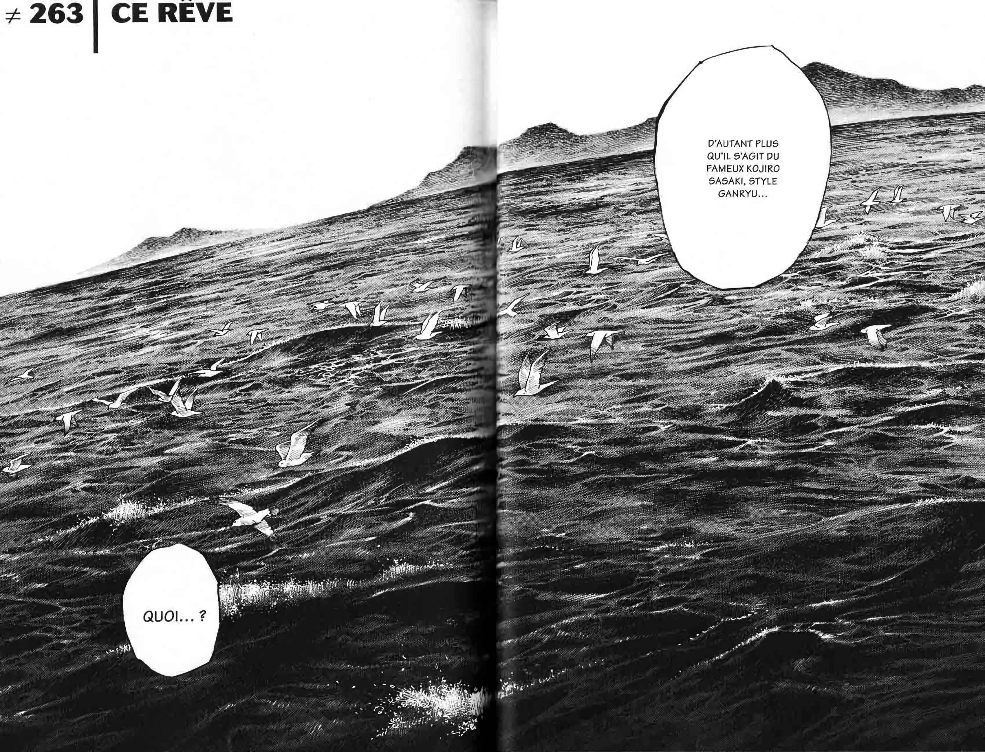 Read Vagabond FR Manga Online