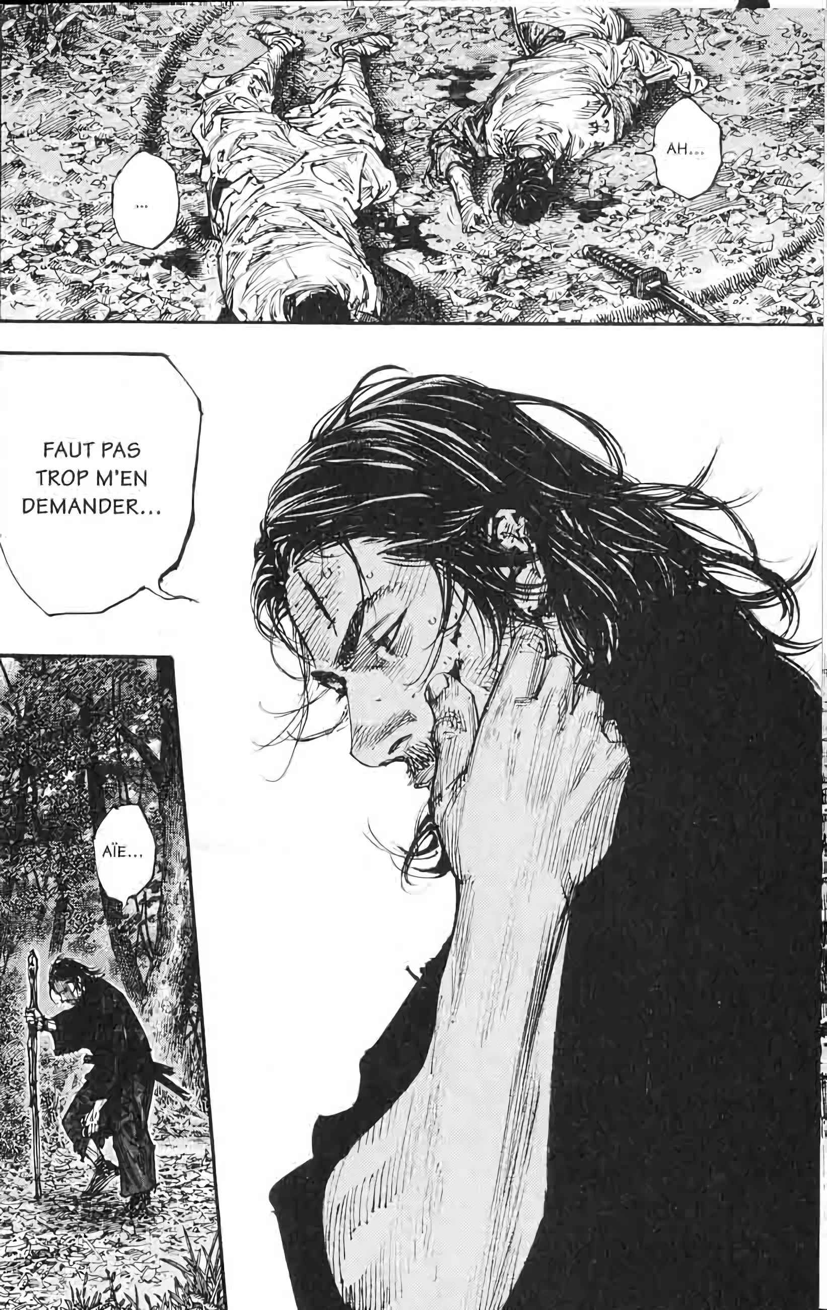 Read Vagabond FR Manga Online