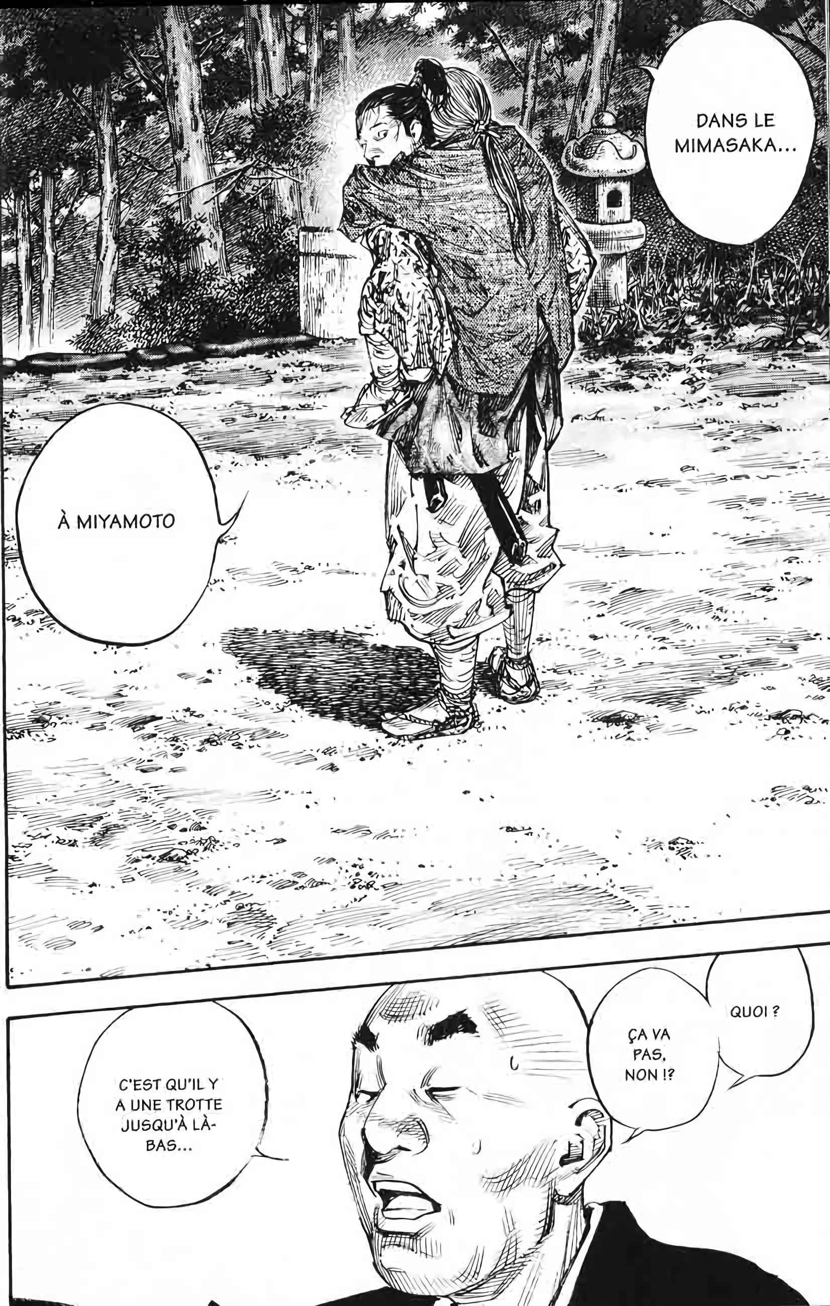 Read Vagabond FR Manga Online