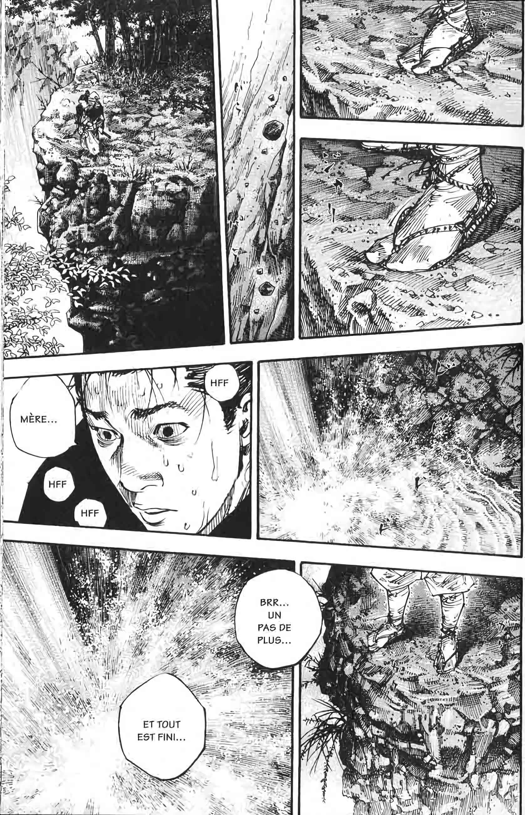 Read Vagabond FR Manga Online