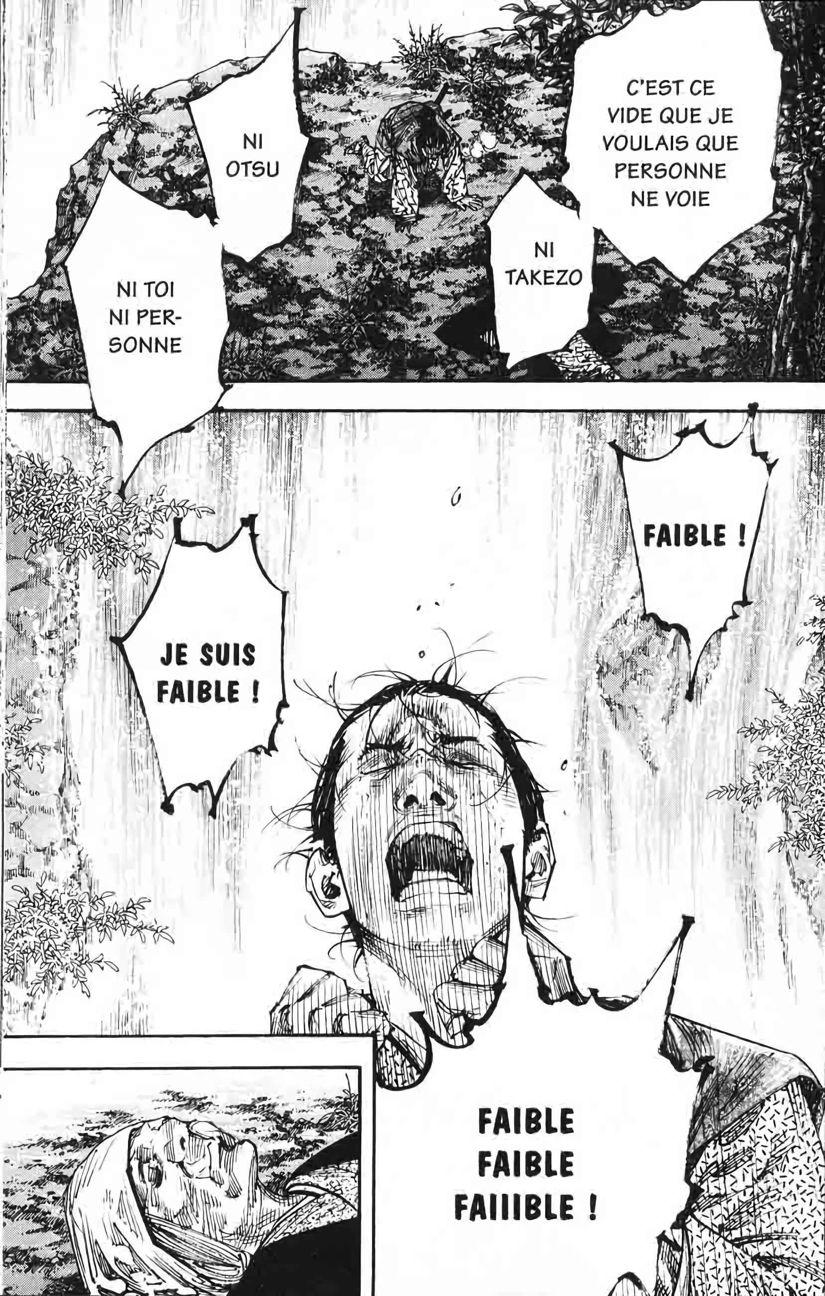 Read Vagabond FR Manga Online