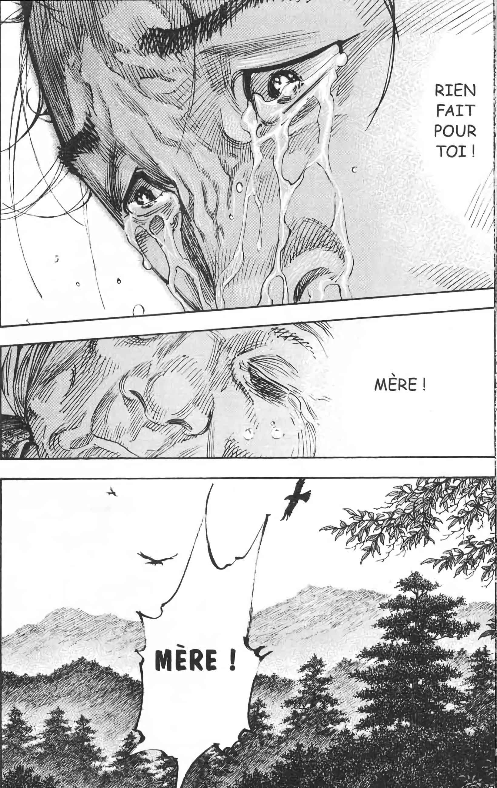 Read Vagabond FR Manga Online