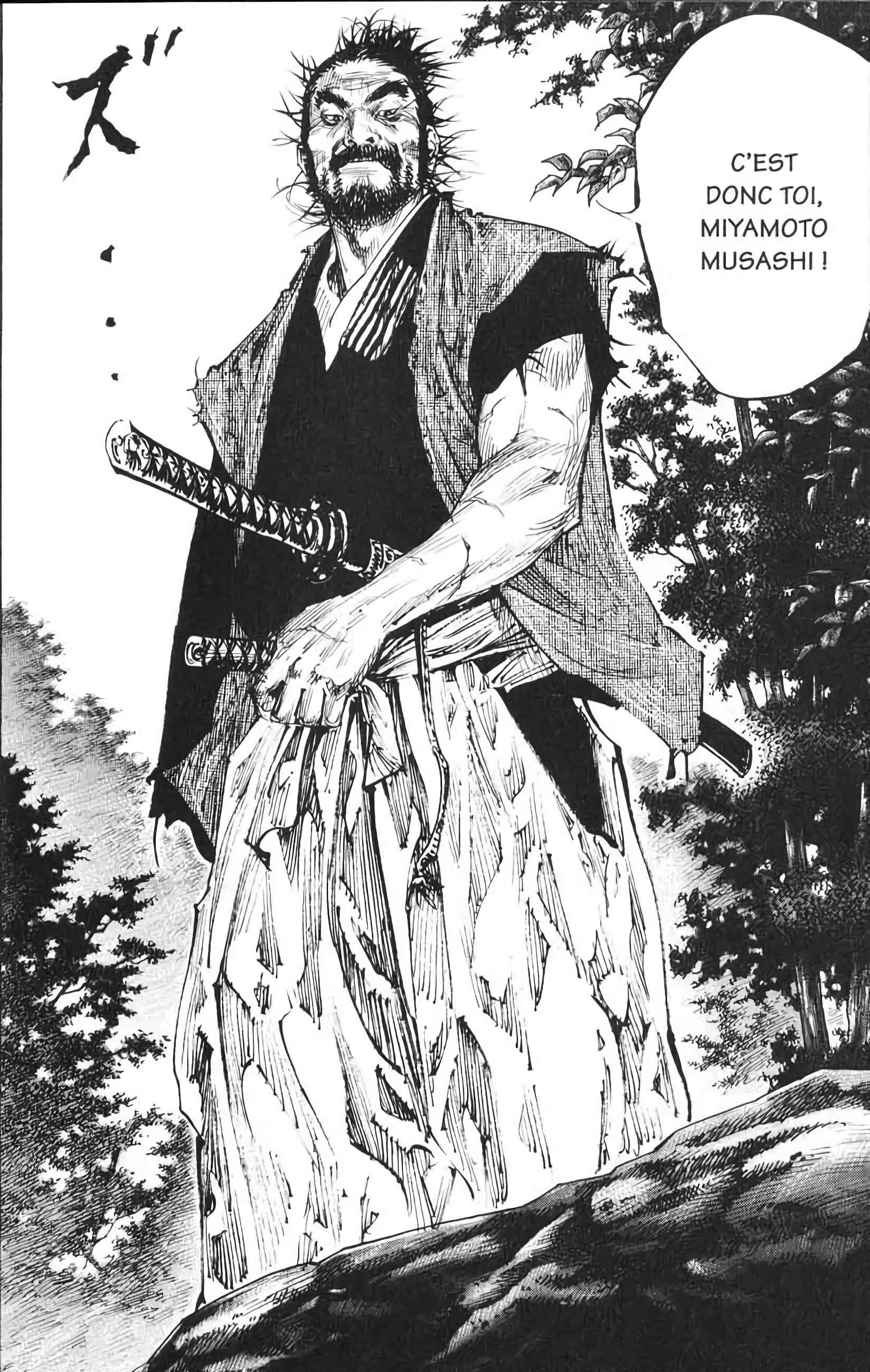Read Vagabond FR Manga Online