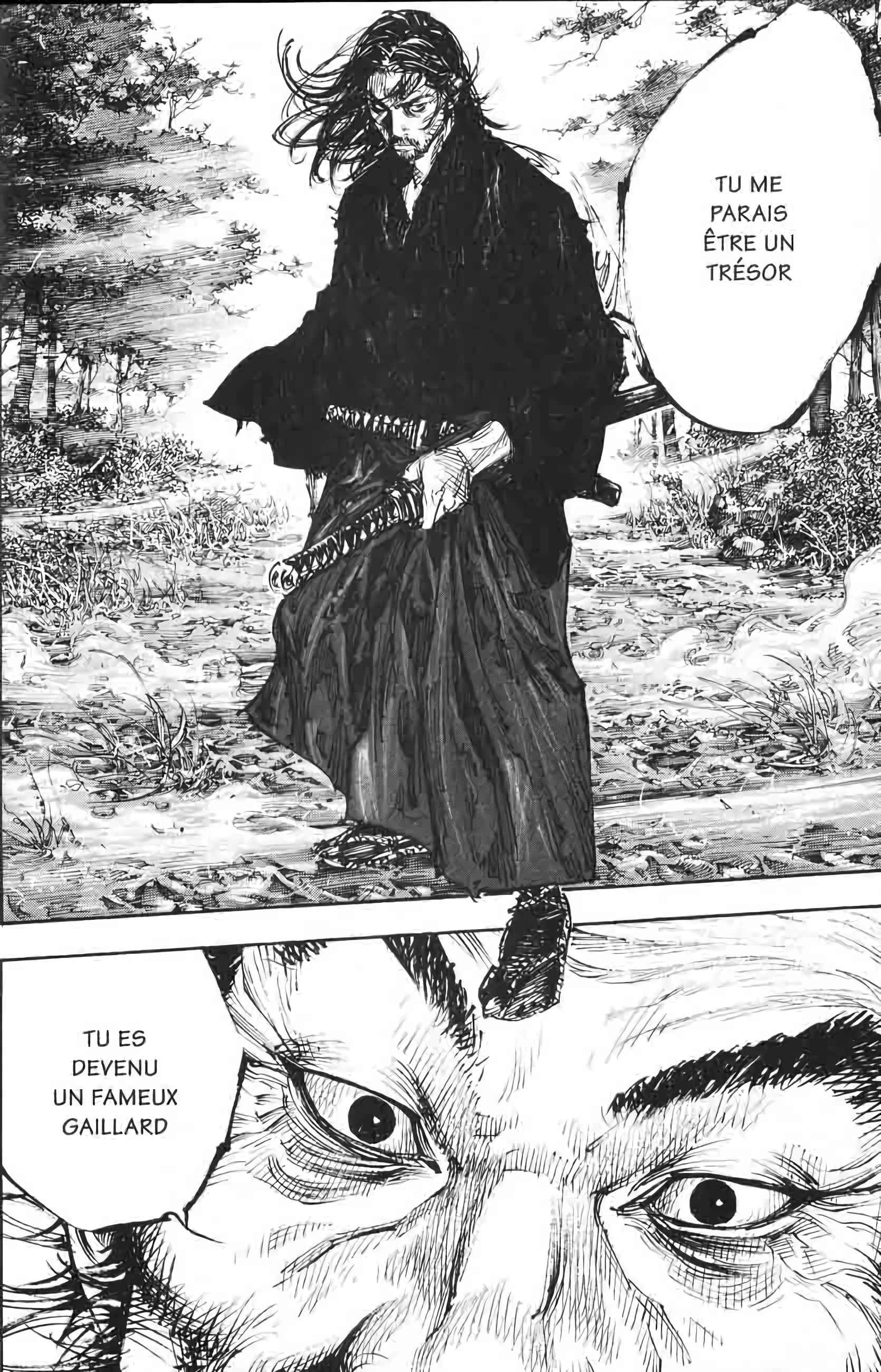 Read Vagabond FR Manga Online