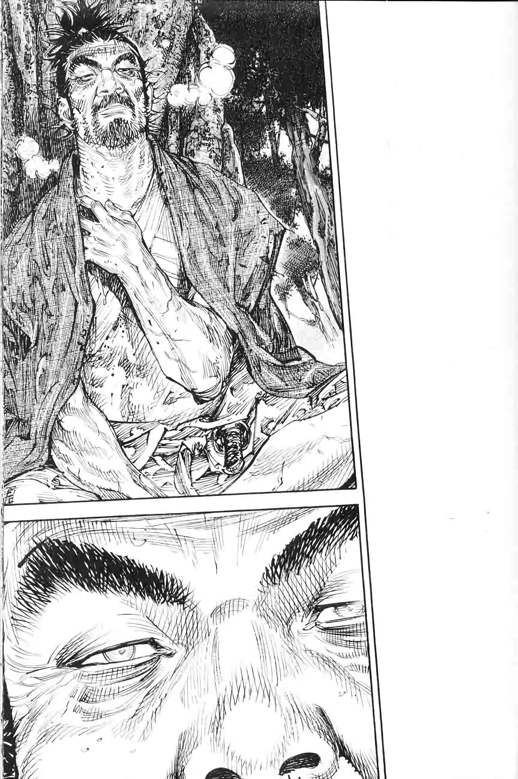 Read Vagabond FR Manga Online