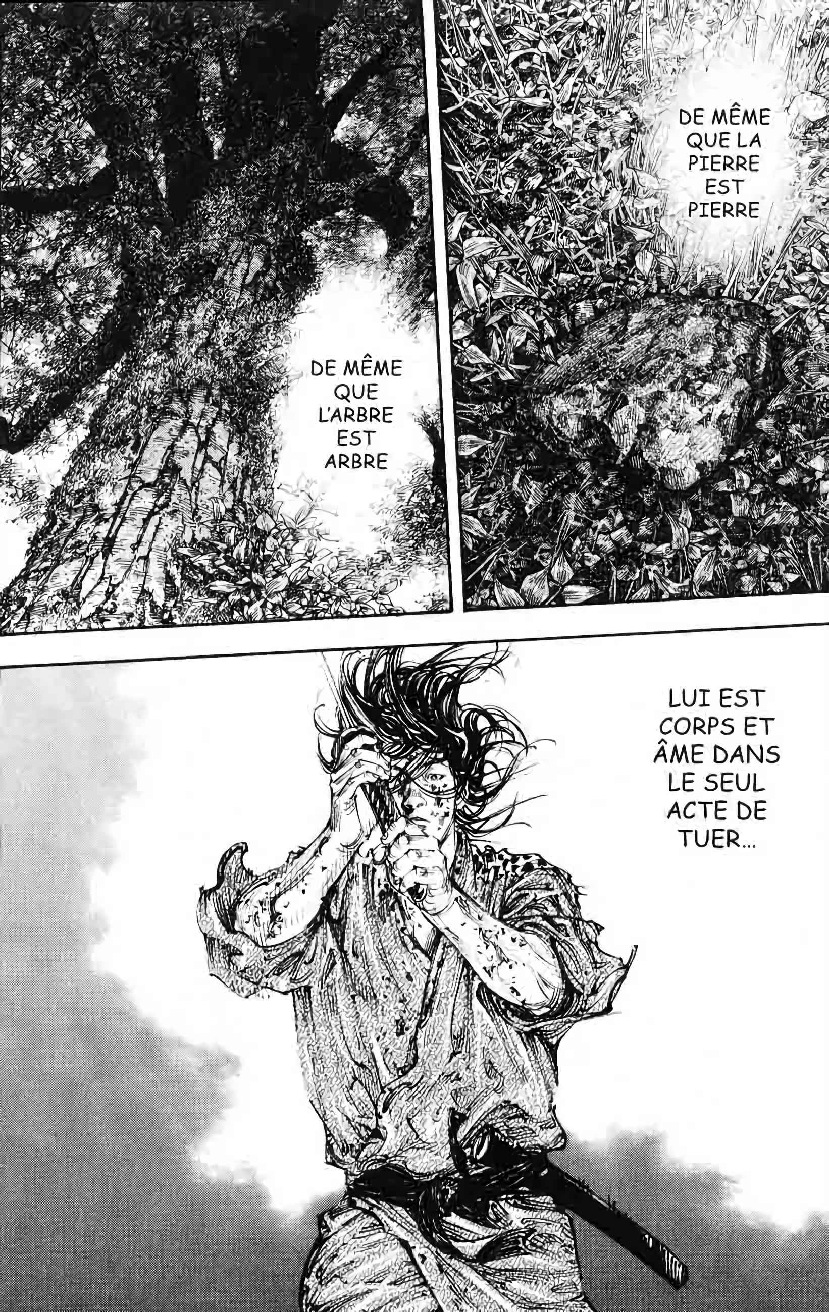 Read Vagabond FR Manga Online
