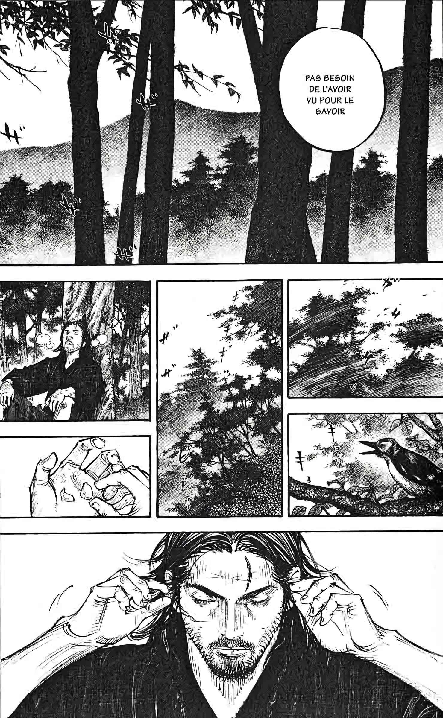 Read Vagabond FR Manga Online