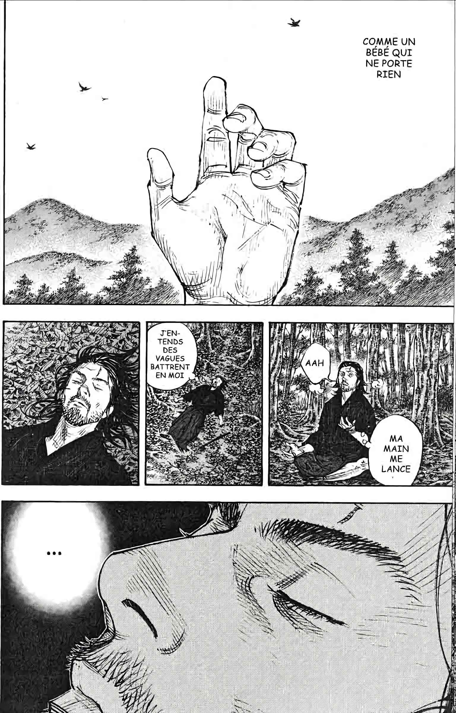 Read Vagabond FR Manga Online