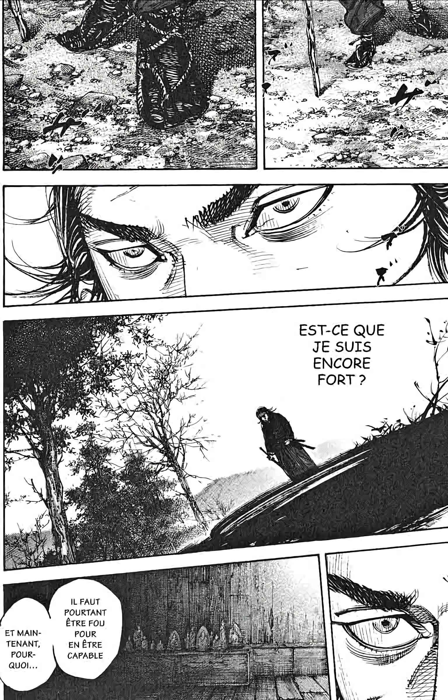 Read Vagabond FR Manga Online