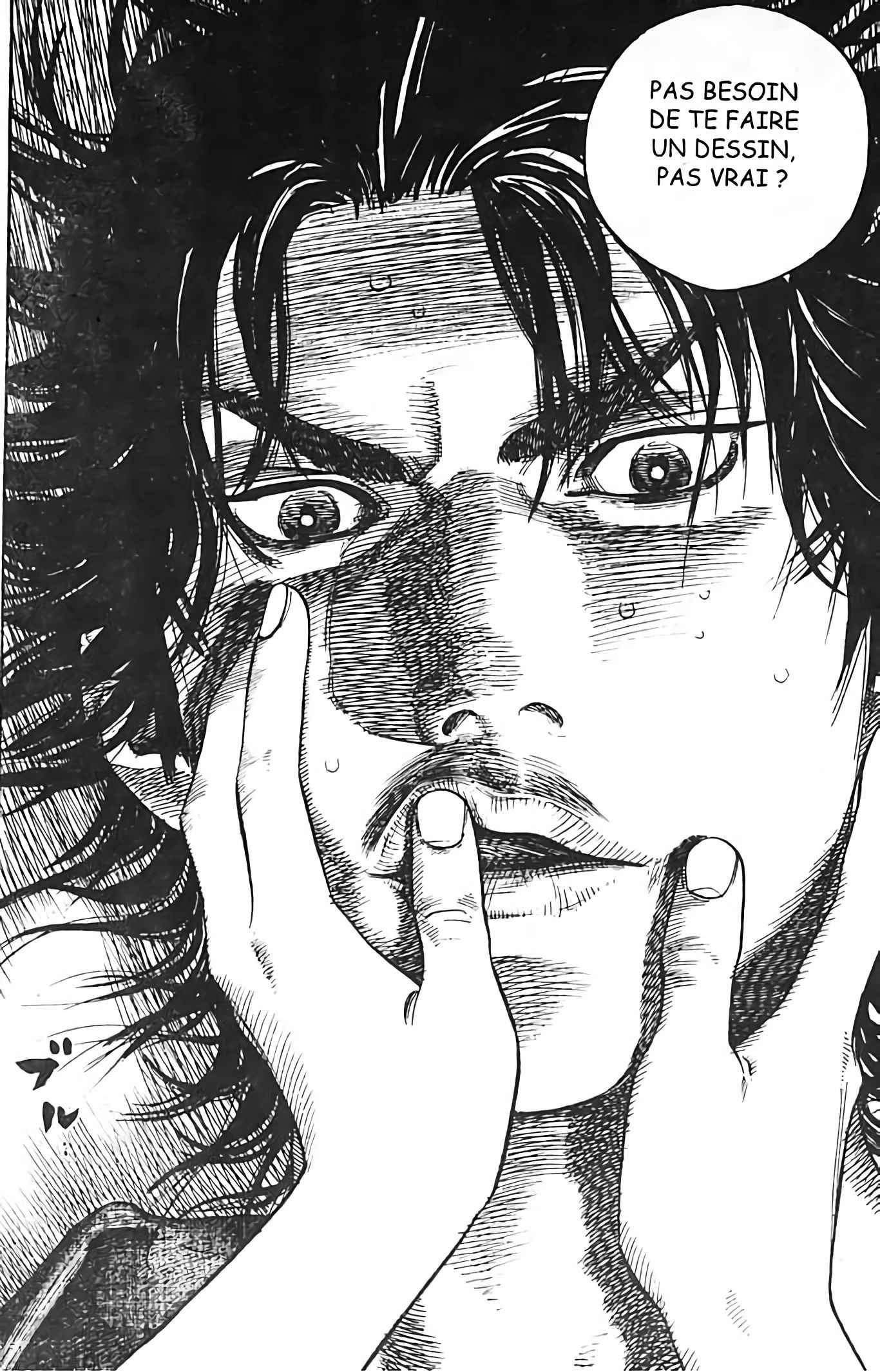 Read Vagabond FR Manga Online