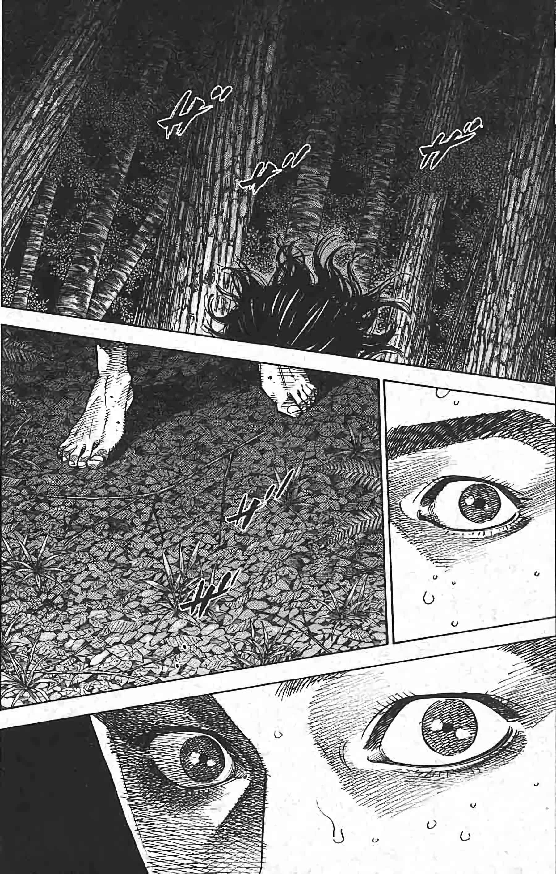Read Vagabond FR Manga Online